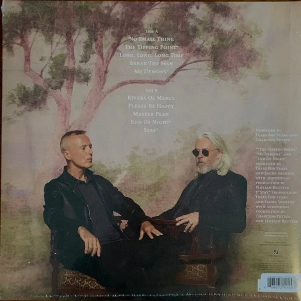 Tears for Fears The Tipp Rear.jpeg