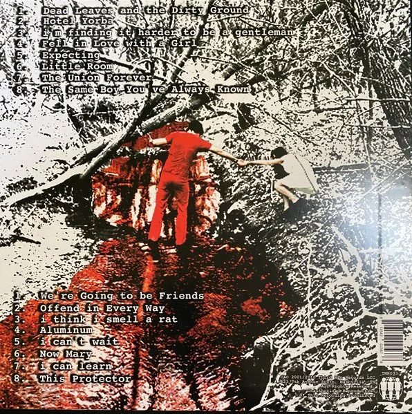 The White Stripes White Rear.jpeg