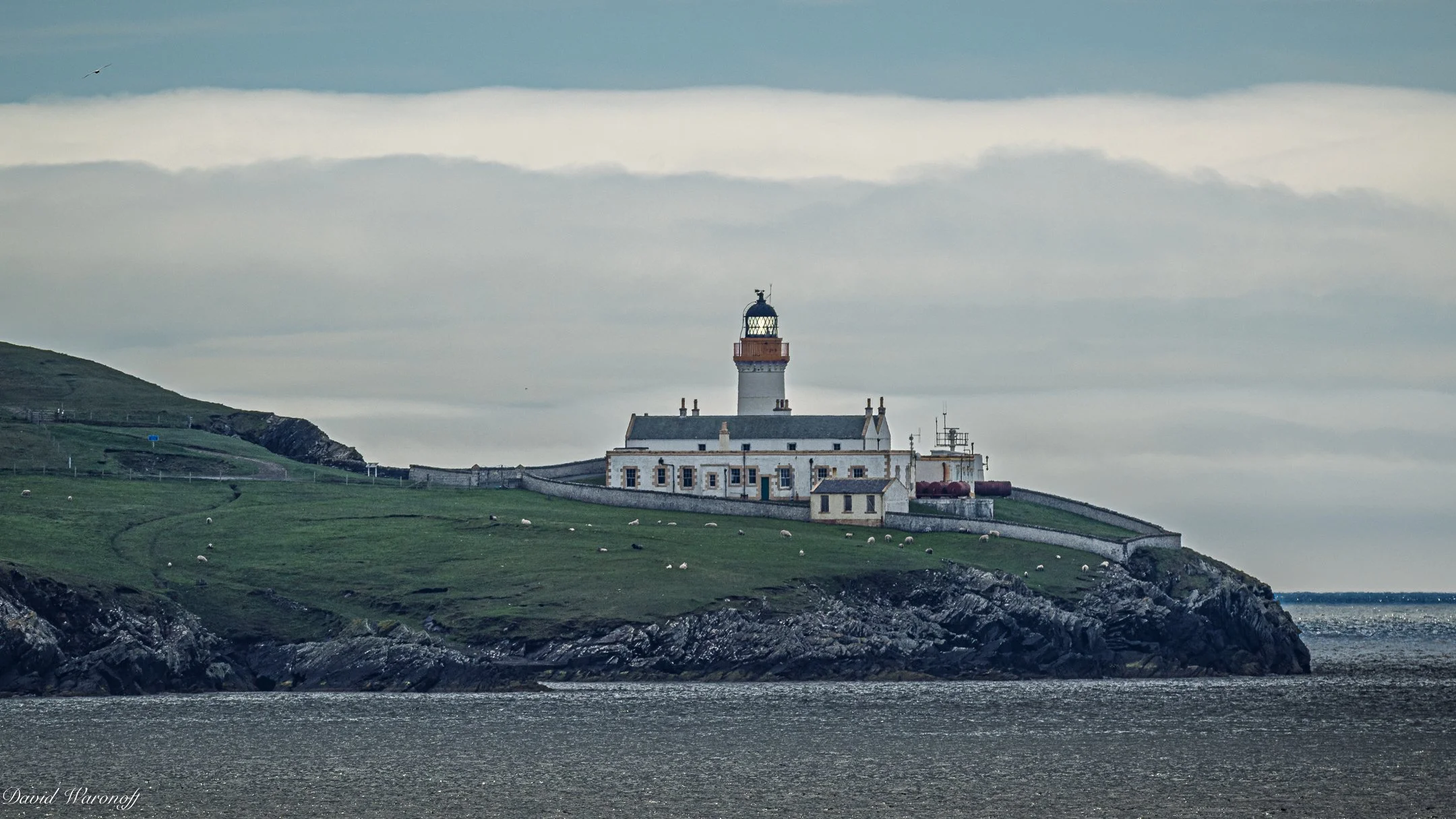 _0Z91460.jpg