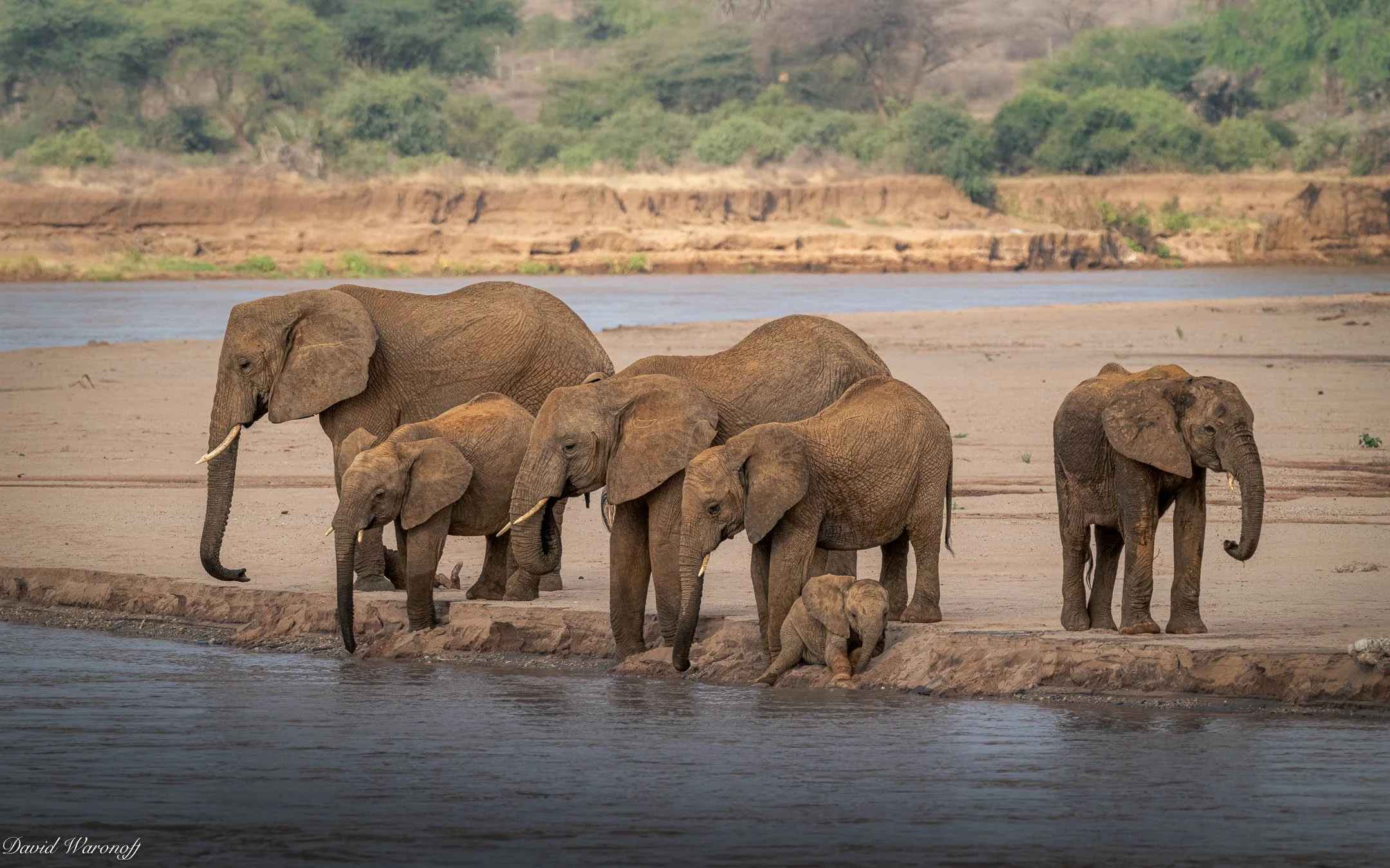 Samburu-86794.jpg