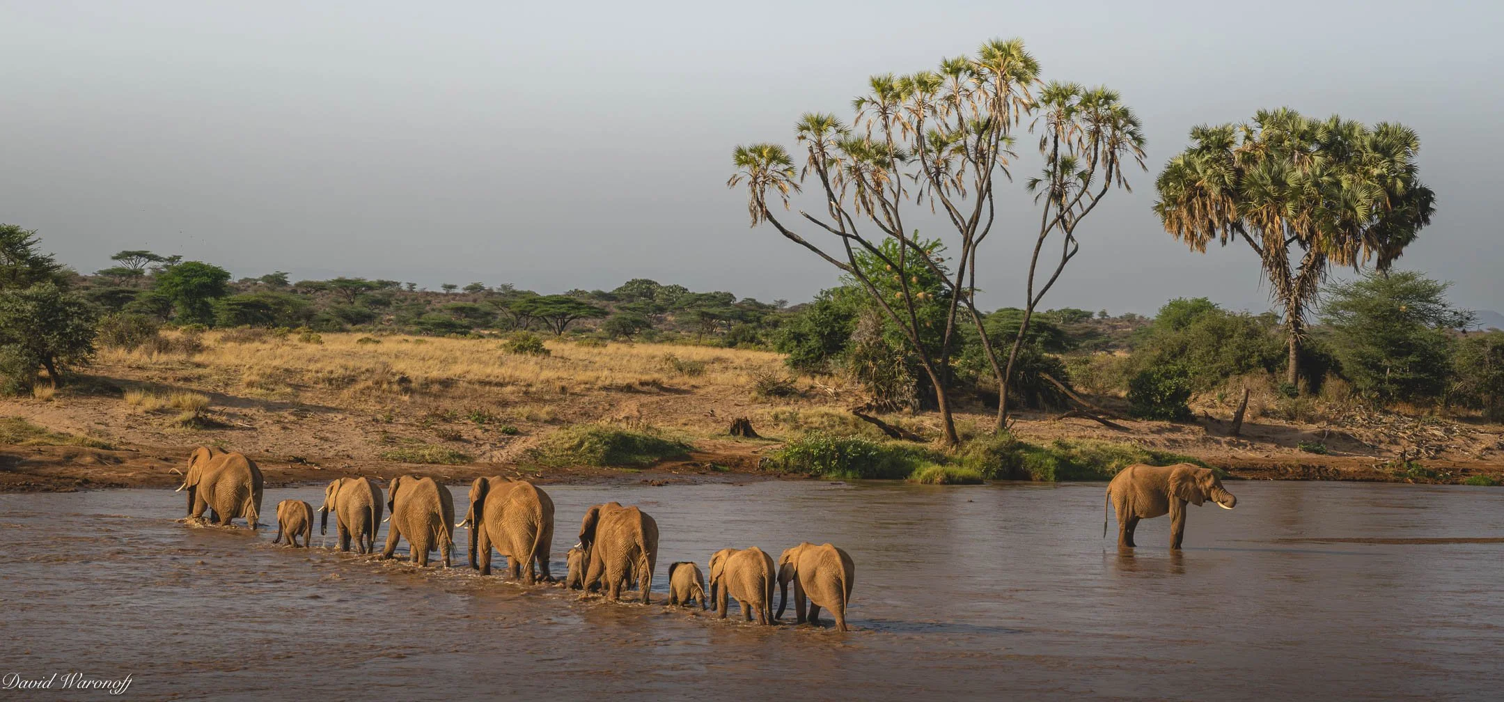 Samburu-92148.jpg