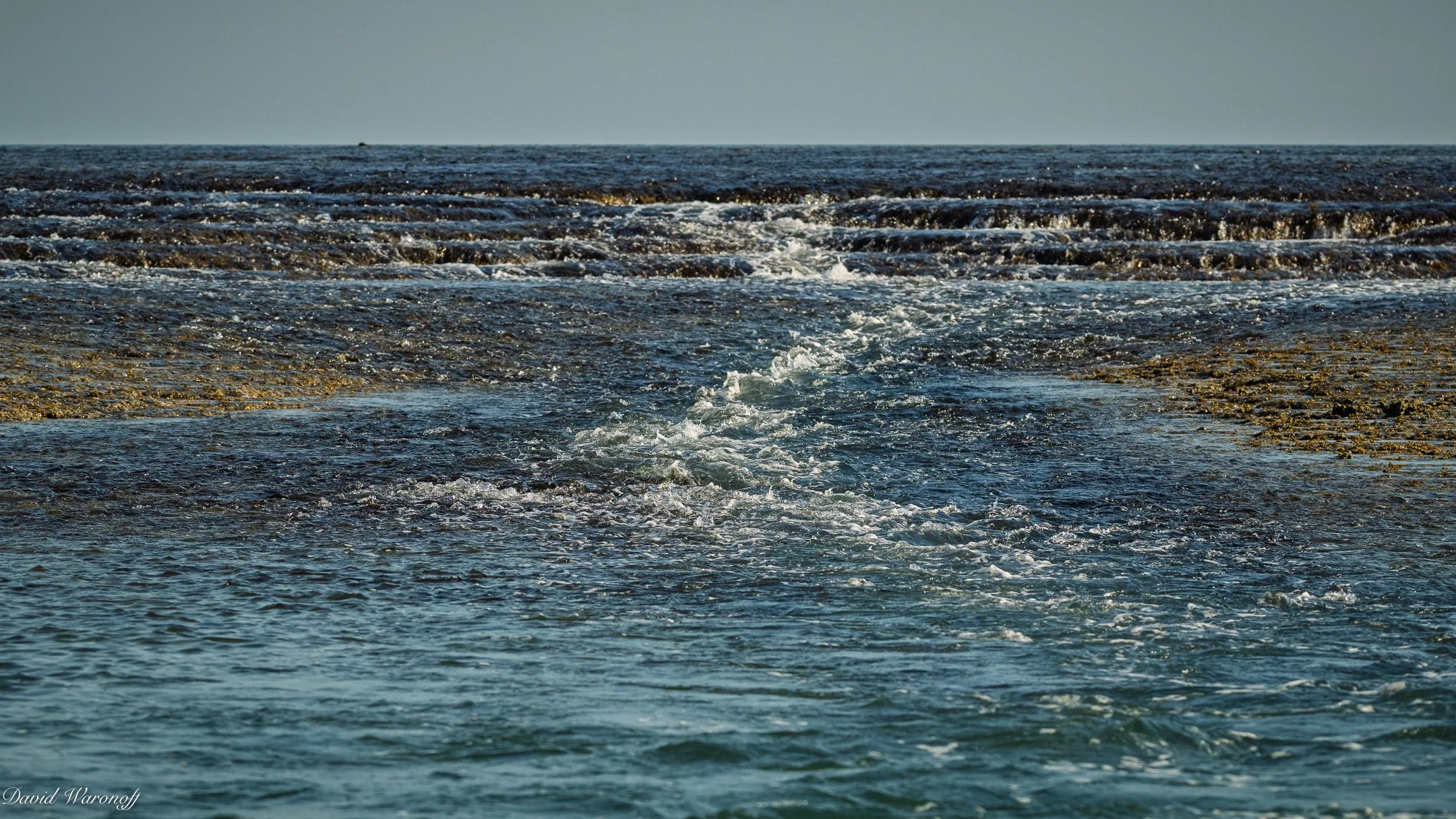 _0Z96677.jpg