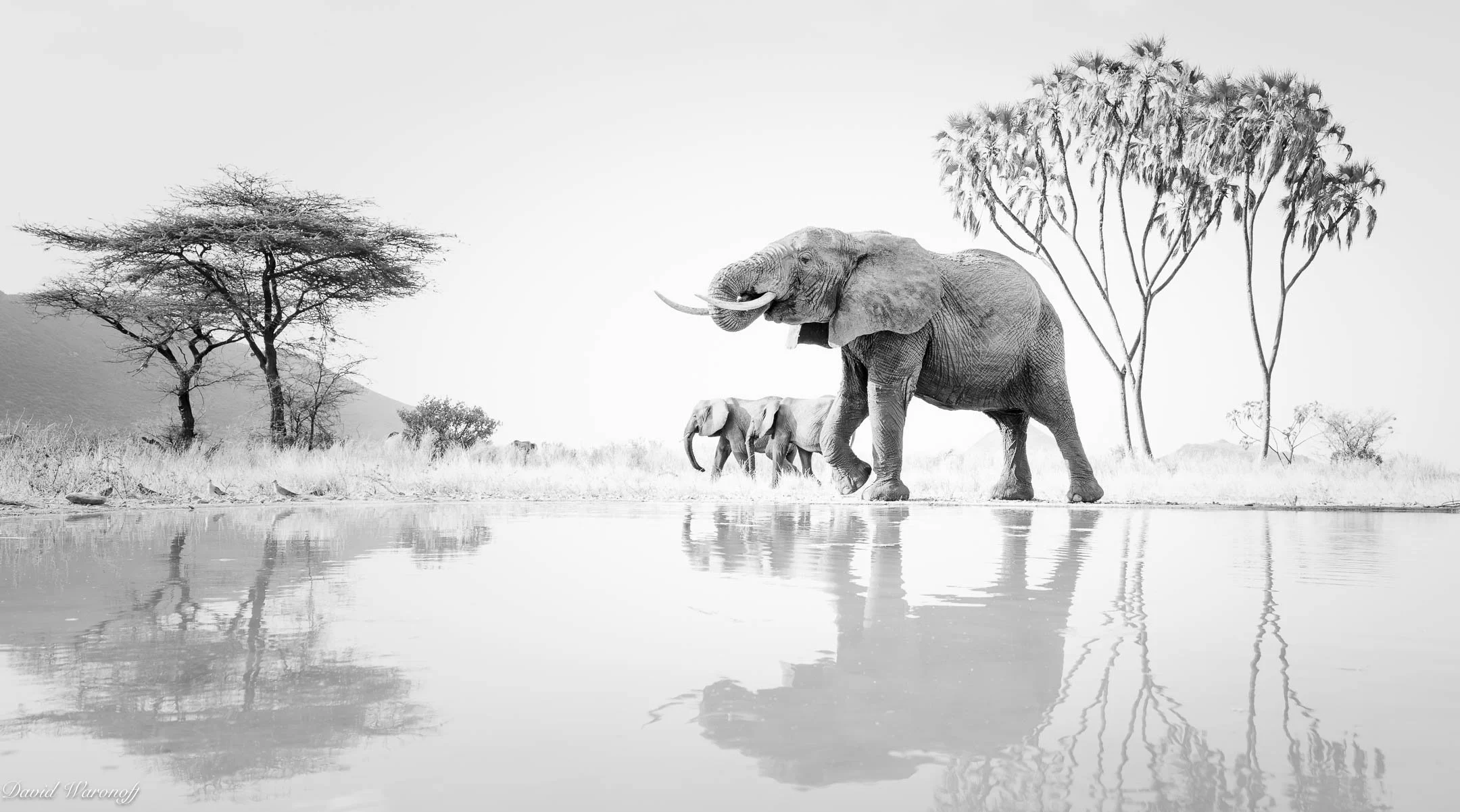 Samburu-93118.jpg