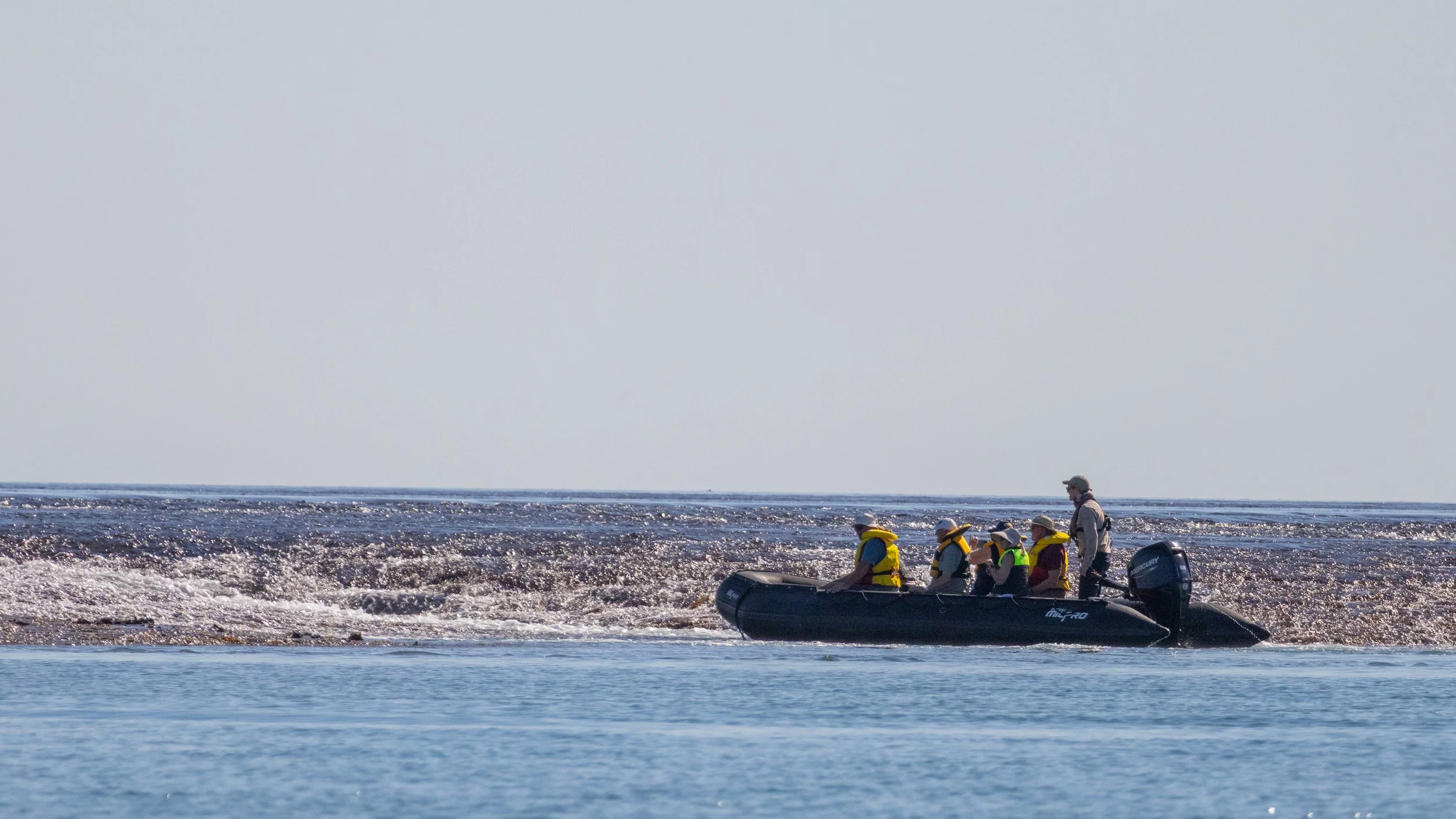 Day 04-PM-Montgomery Reef-14.04.26-Jas (29).jpg