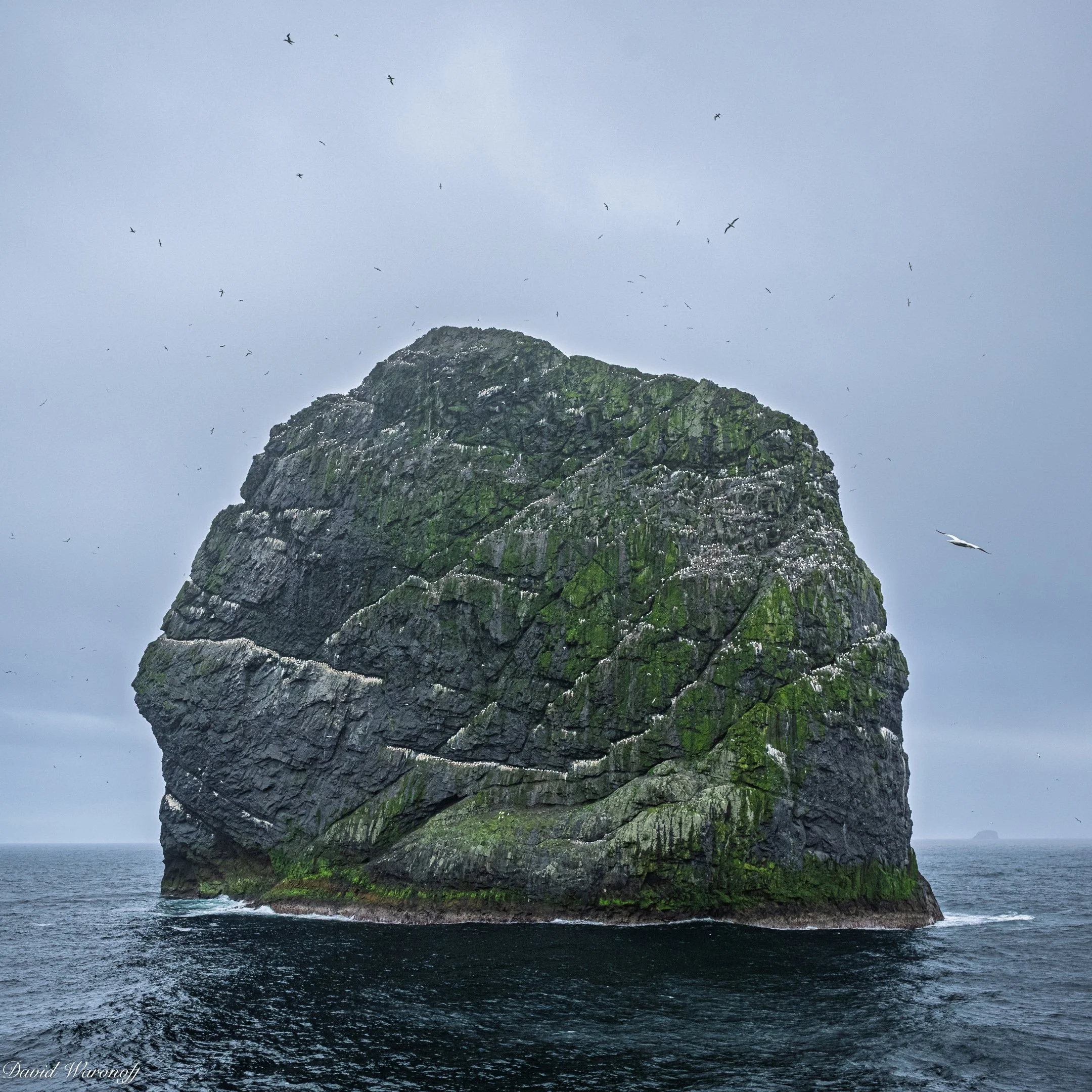 _0Z90152.jpg