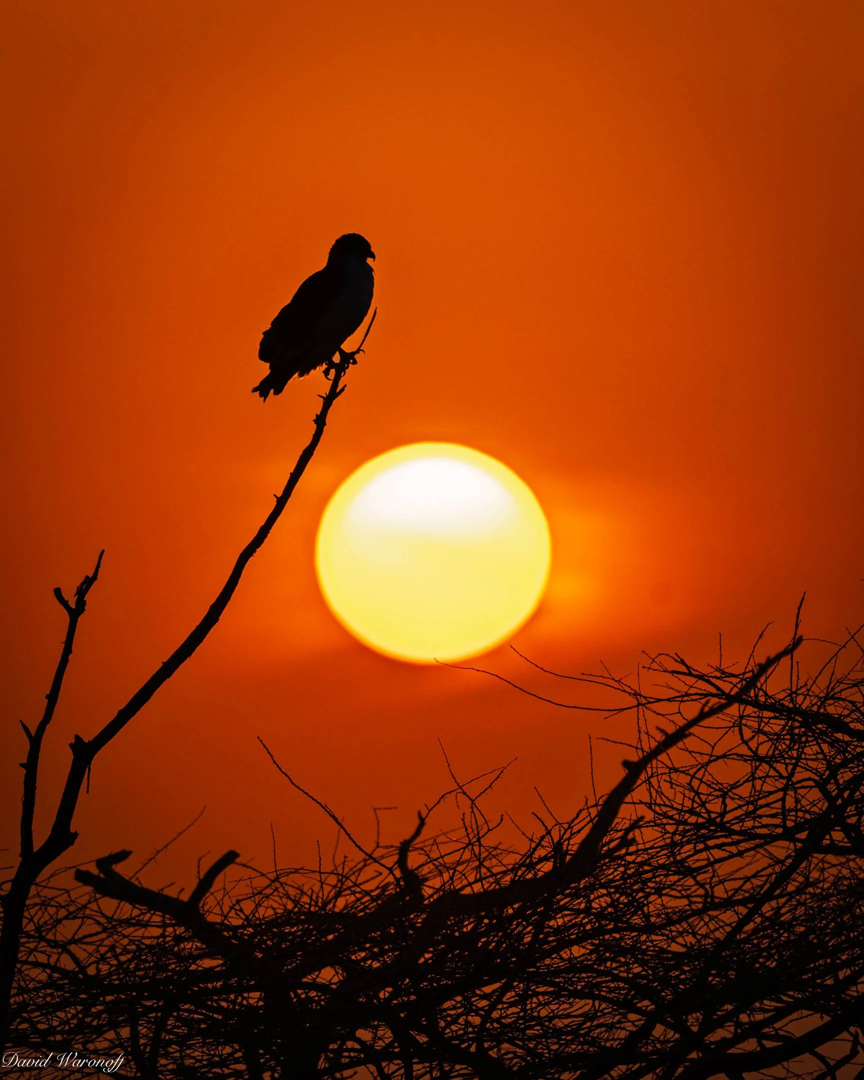 Samburu-85759.jpg
