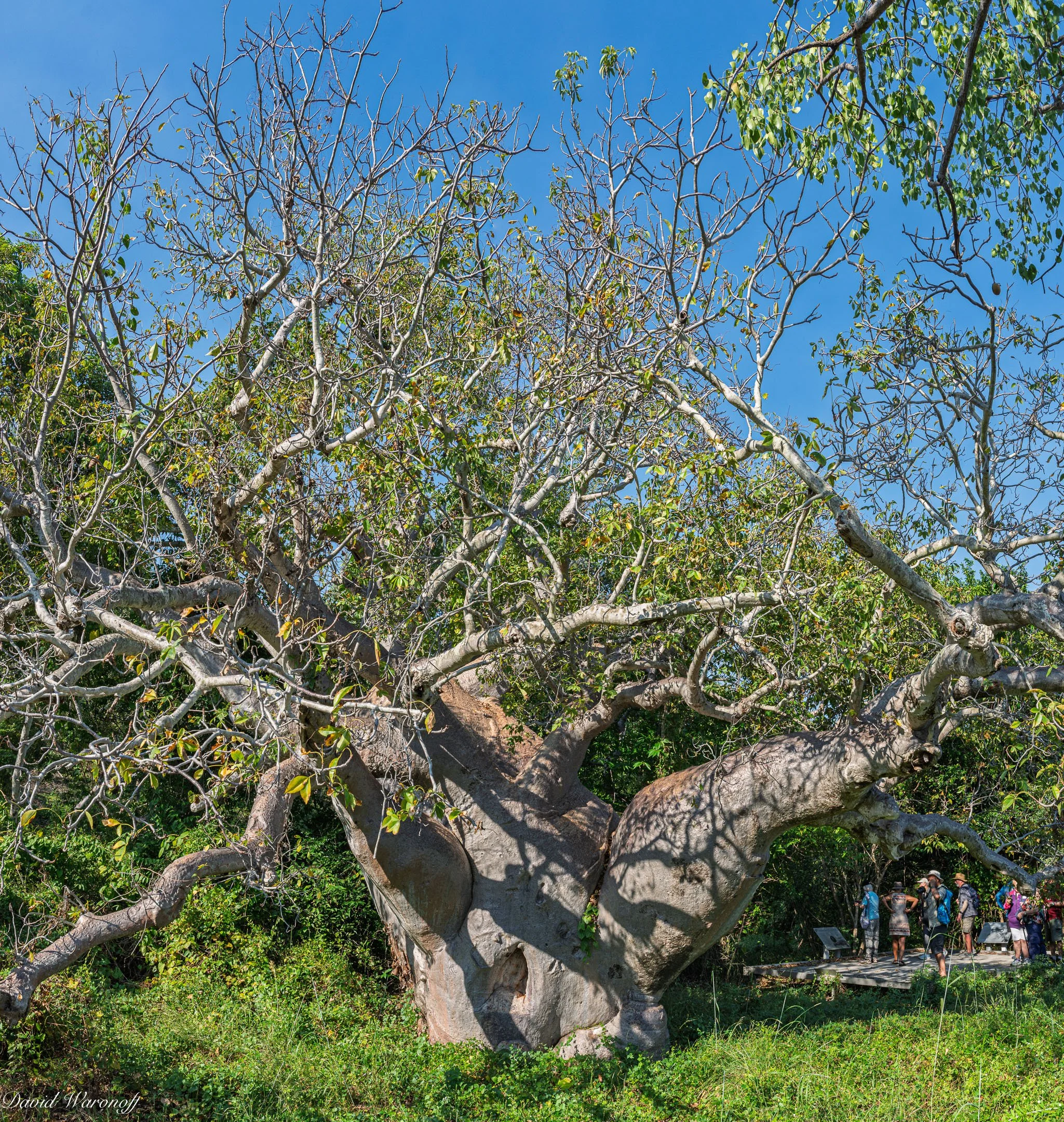_0Z83619-Pano.jpg