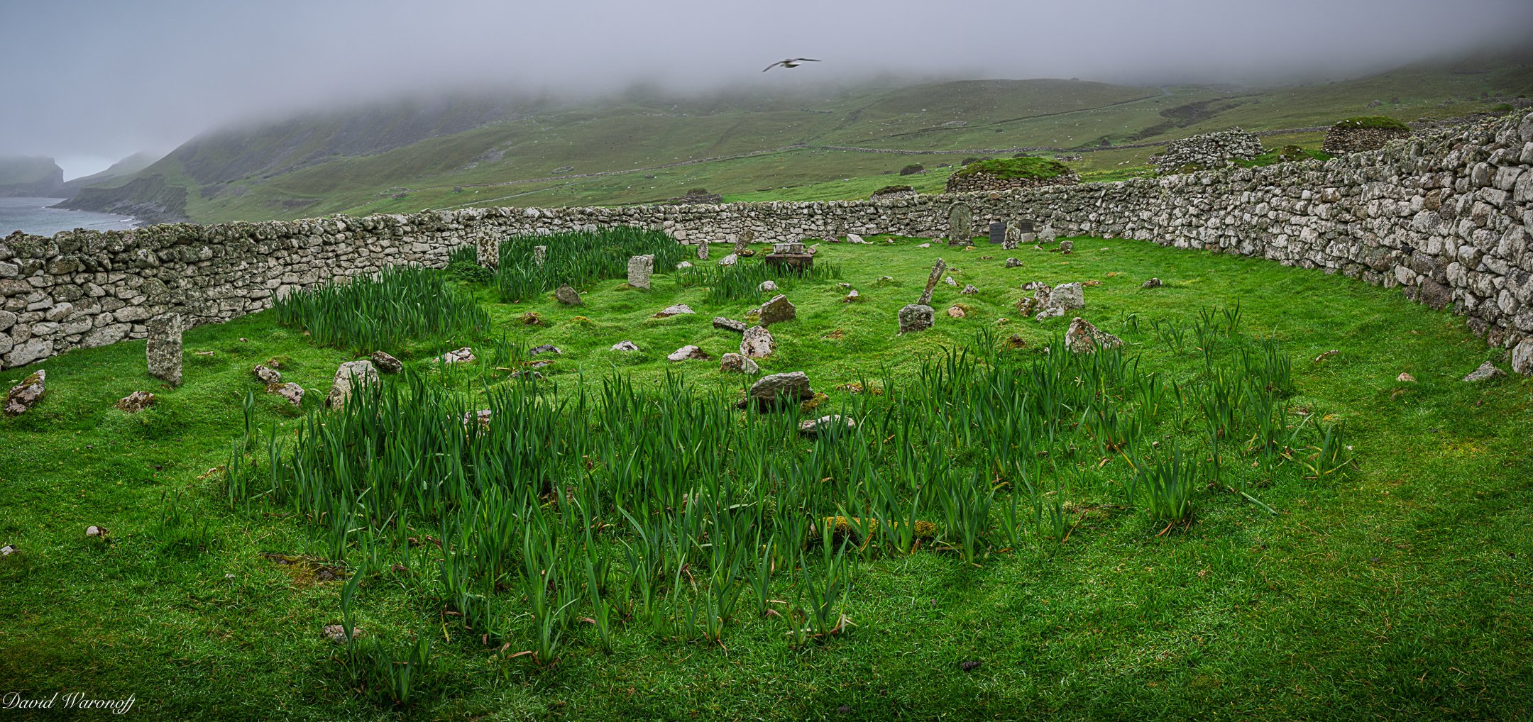 _0Z87413-Pano.jpg