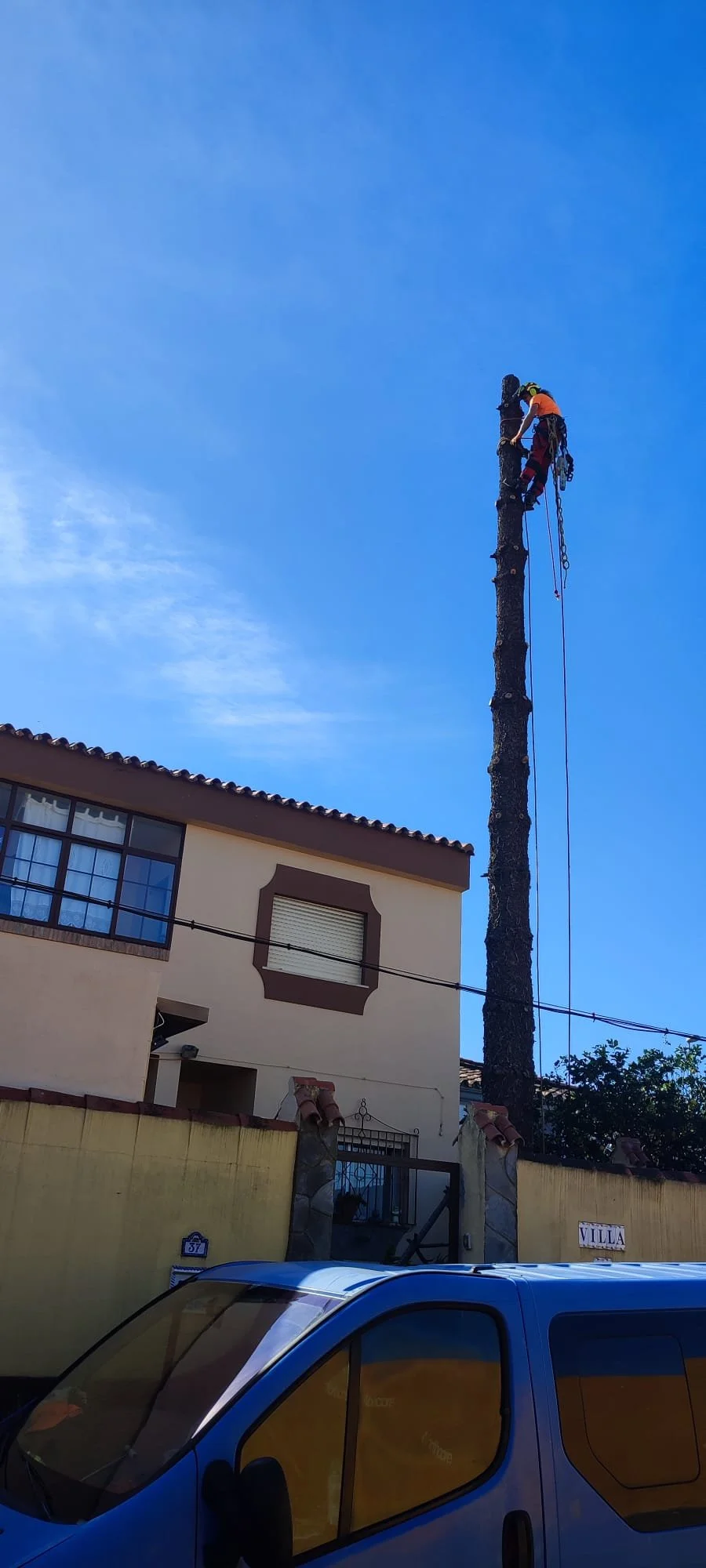 Jardinería profesional en Santander.

Poda en altura técnica y segura.

Mantenimiento de jardines y fincas en Cantabria.

Poda Grober: Tu experto en árboles y jardinería