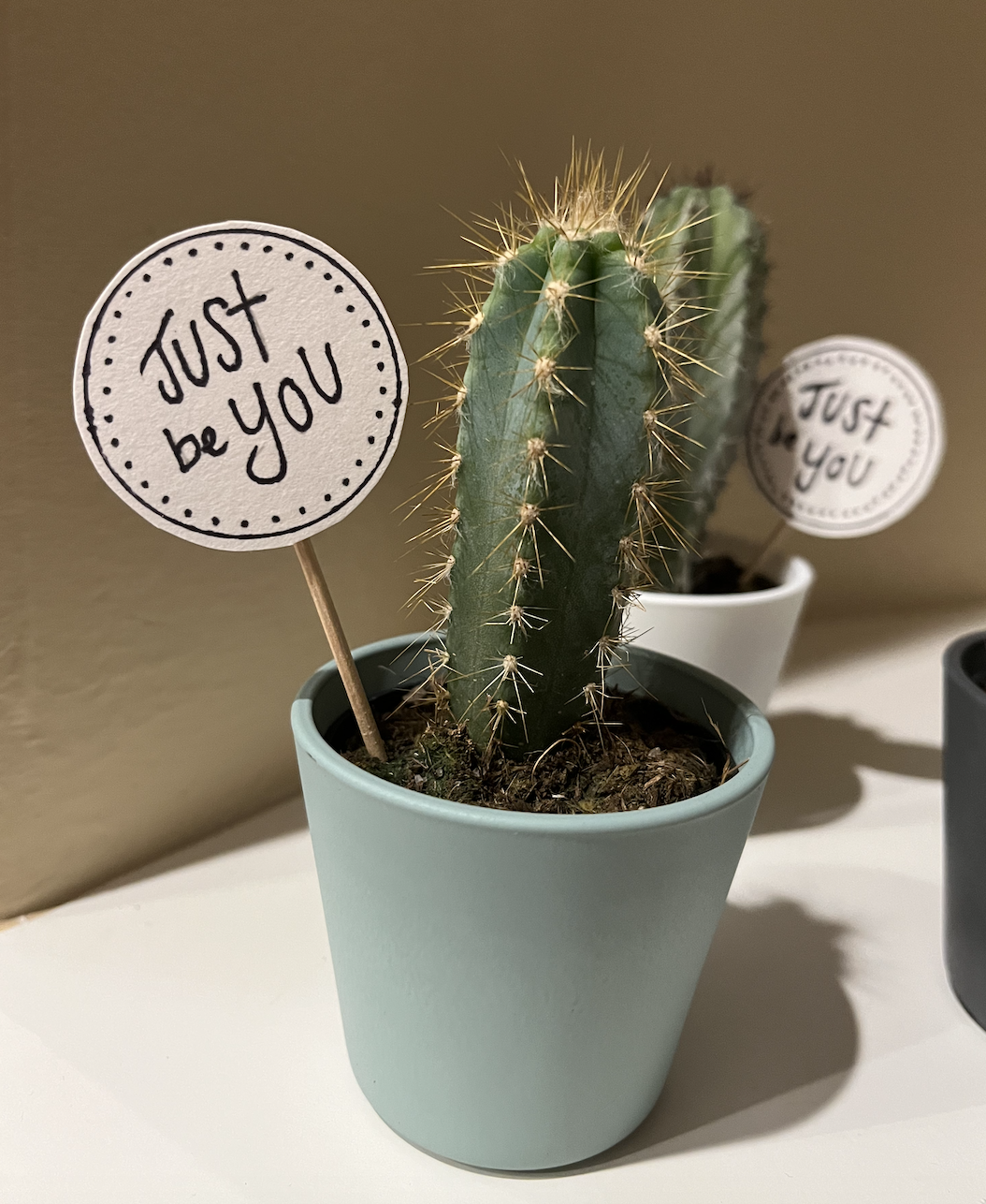 Screen Shot 2023-09-08 at 11.20.30 AM.png