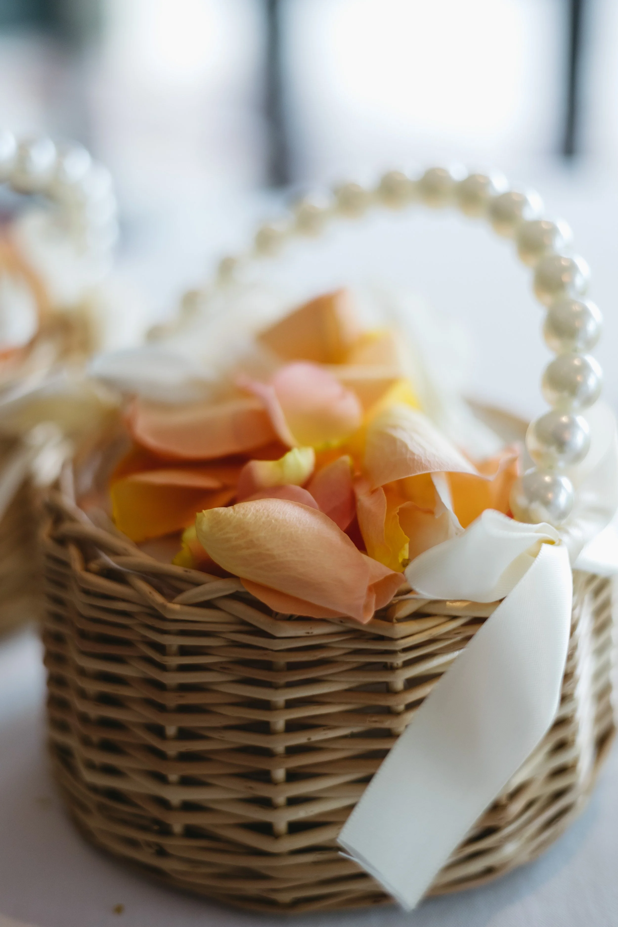 Nicole and Alex's Wedding-17.jpg