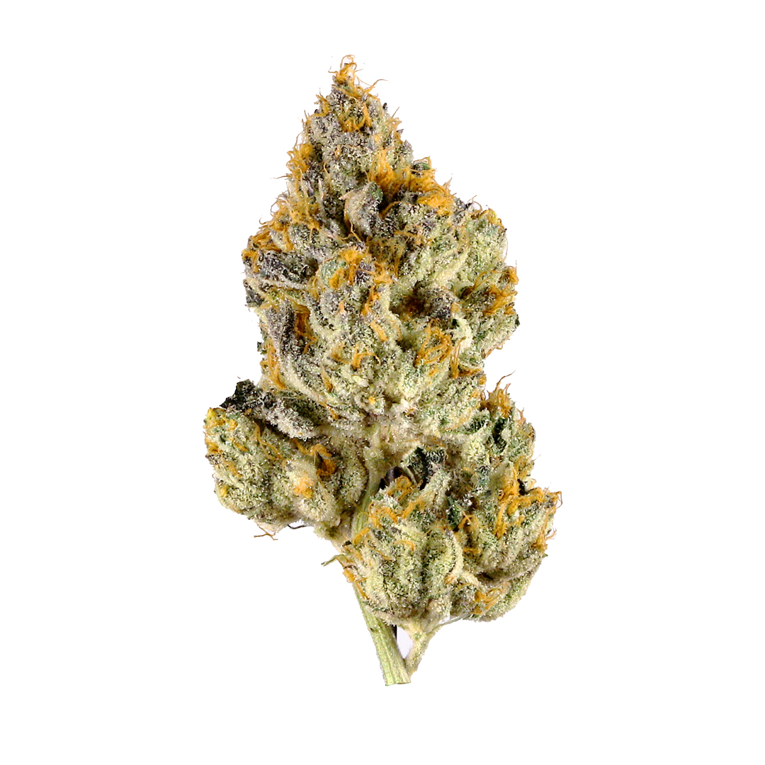 strain-40.png