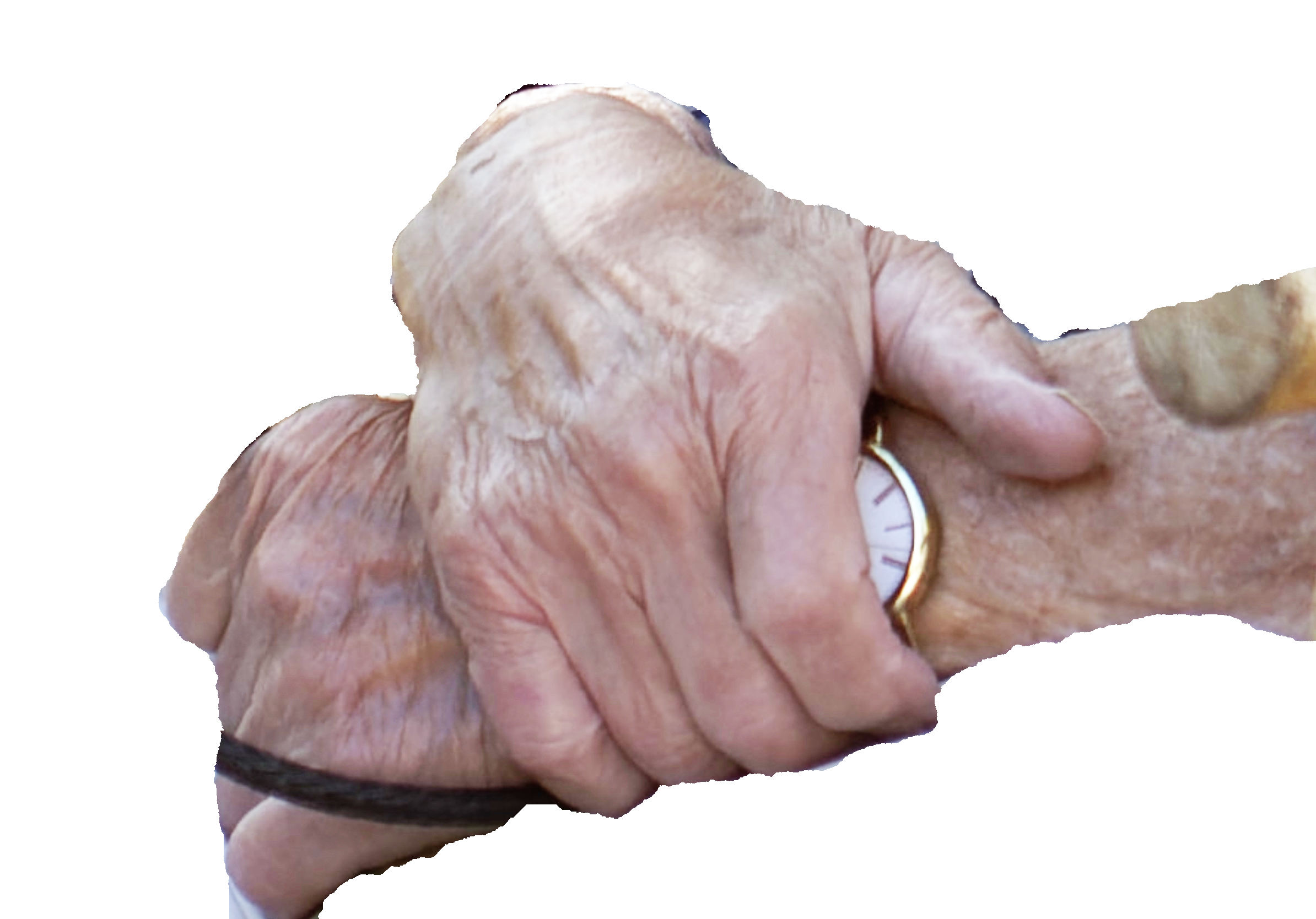 hands.png