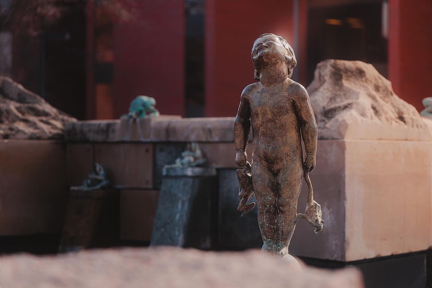 Living for the light. Basking in the sun. Beckoning for the spring. 🌿☀️

&bull;&bull;&bull;

#indyphotographer #fishers #fishersphotographer #ballstate #canonr6markⅱ