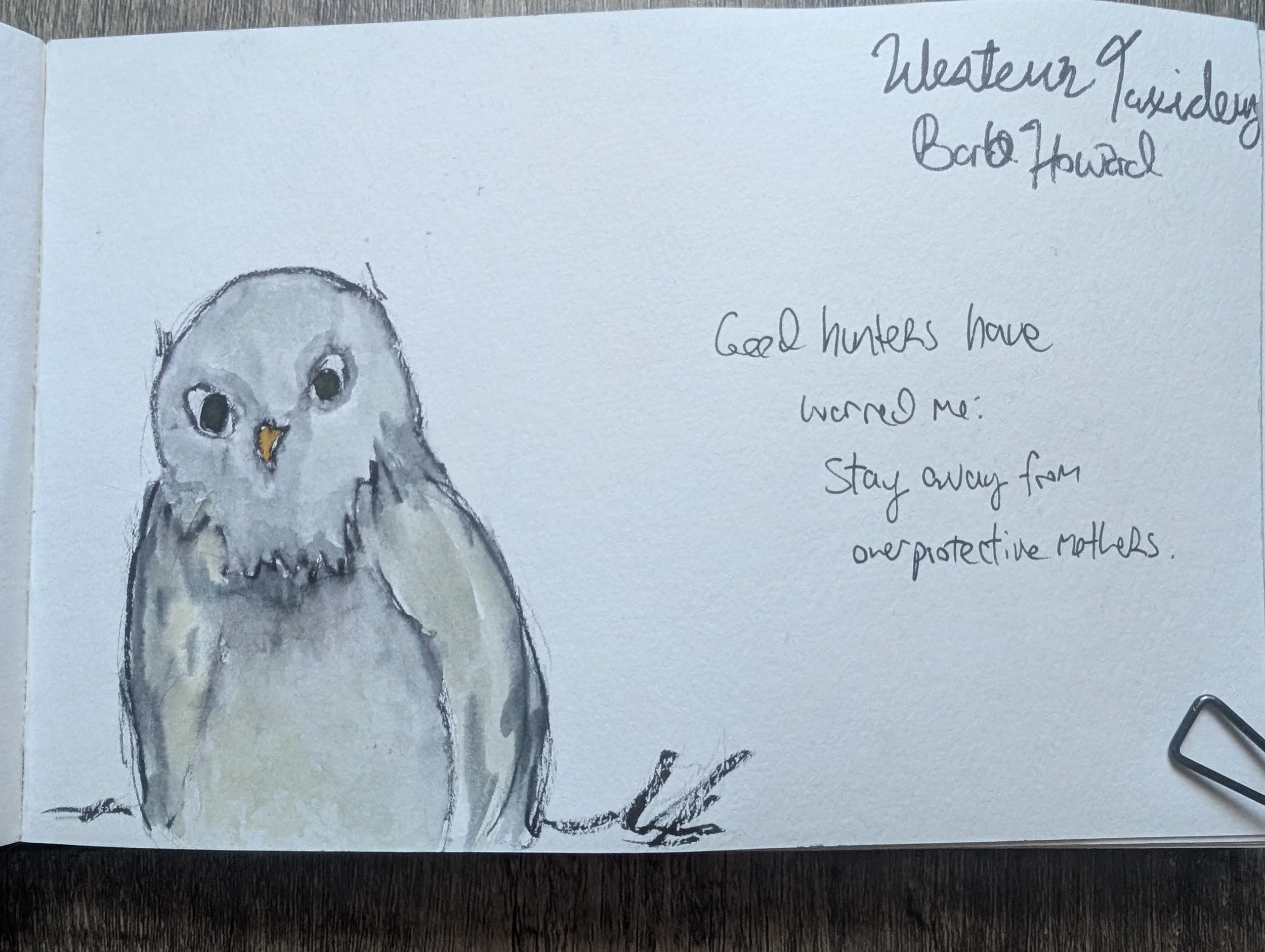 snowy owl painting