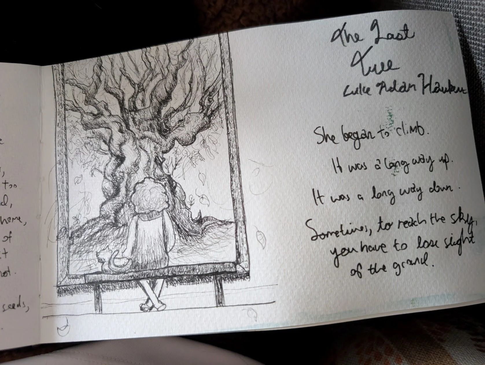 drawing of tree in a picture frame