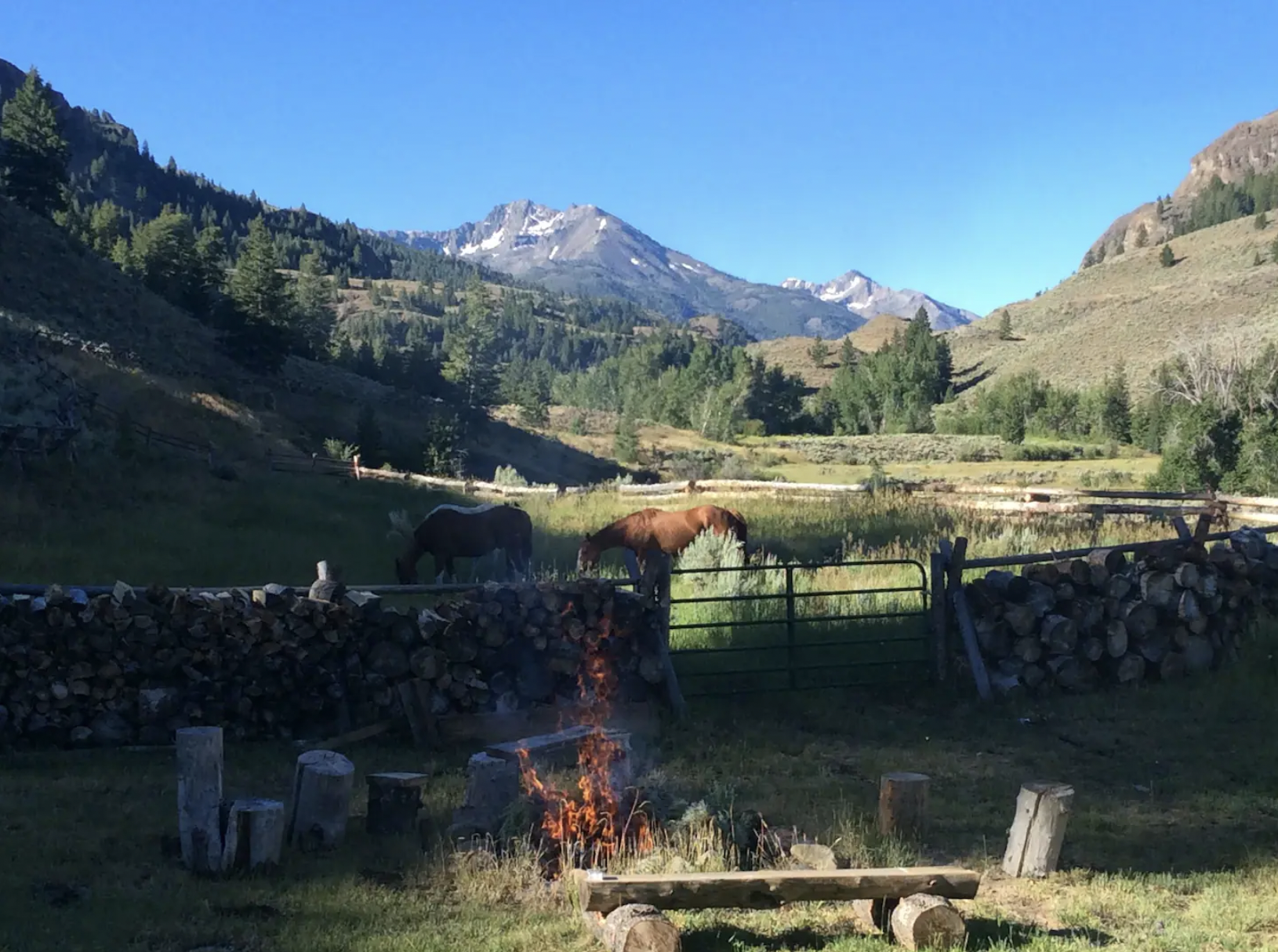 Screen Shot 2024-01-15 at 12.58.32 PM.png