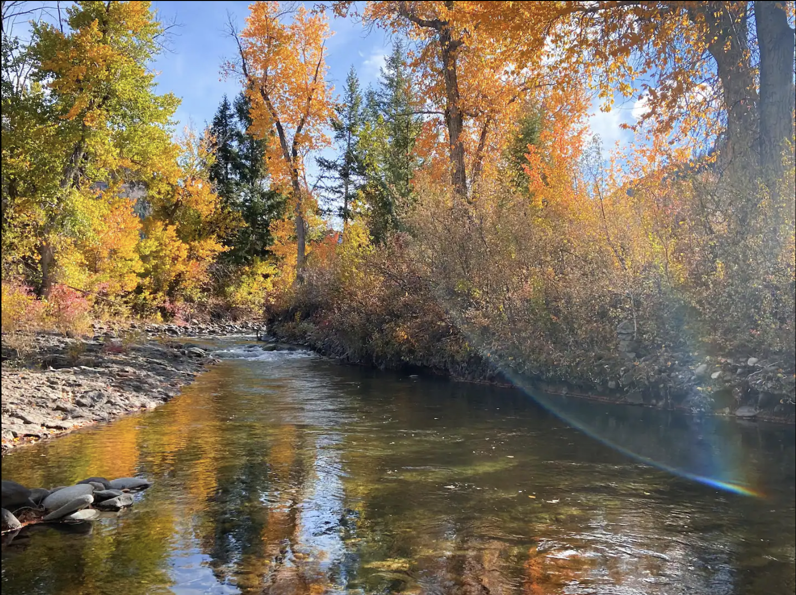 Screen Shot 2024-01-15 at 12.58.48 PM.png