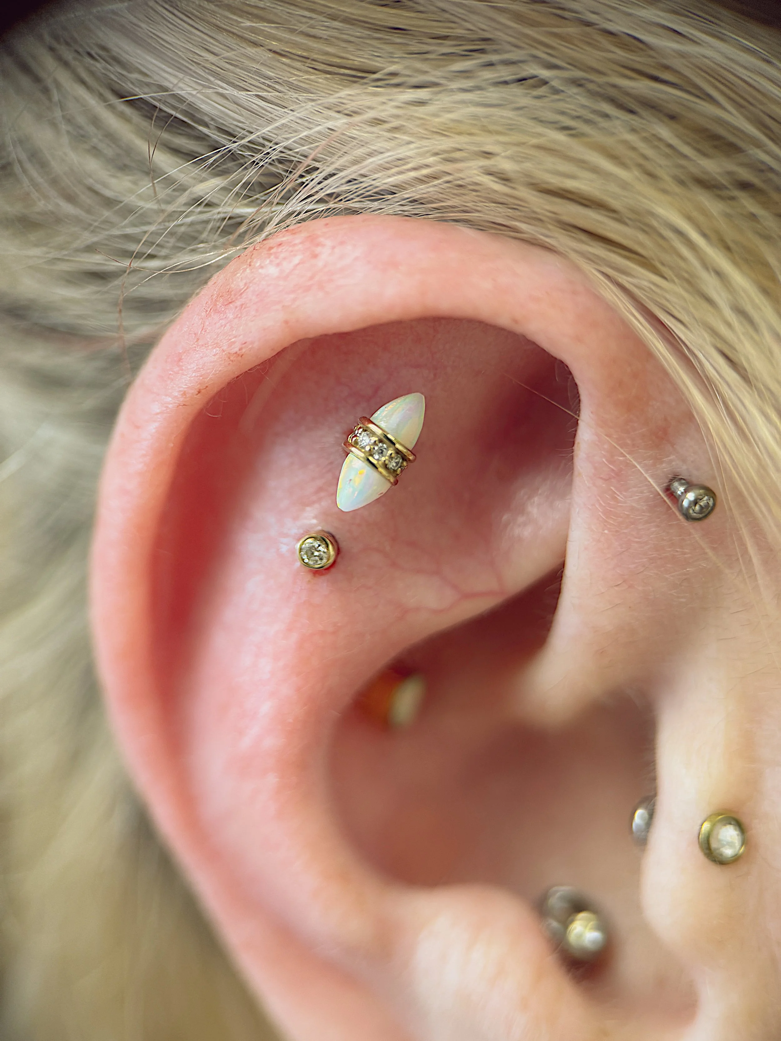 Tezza-9706.jpeg