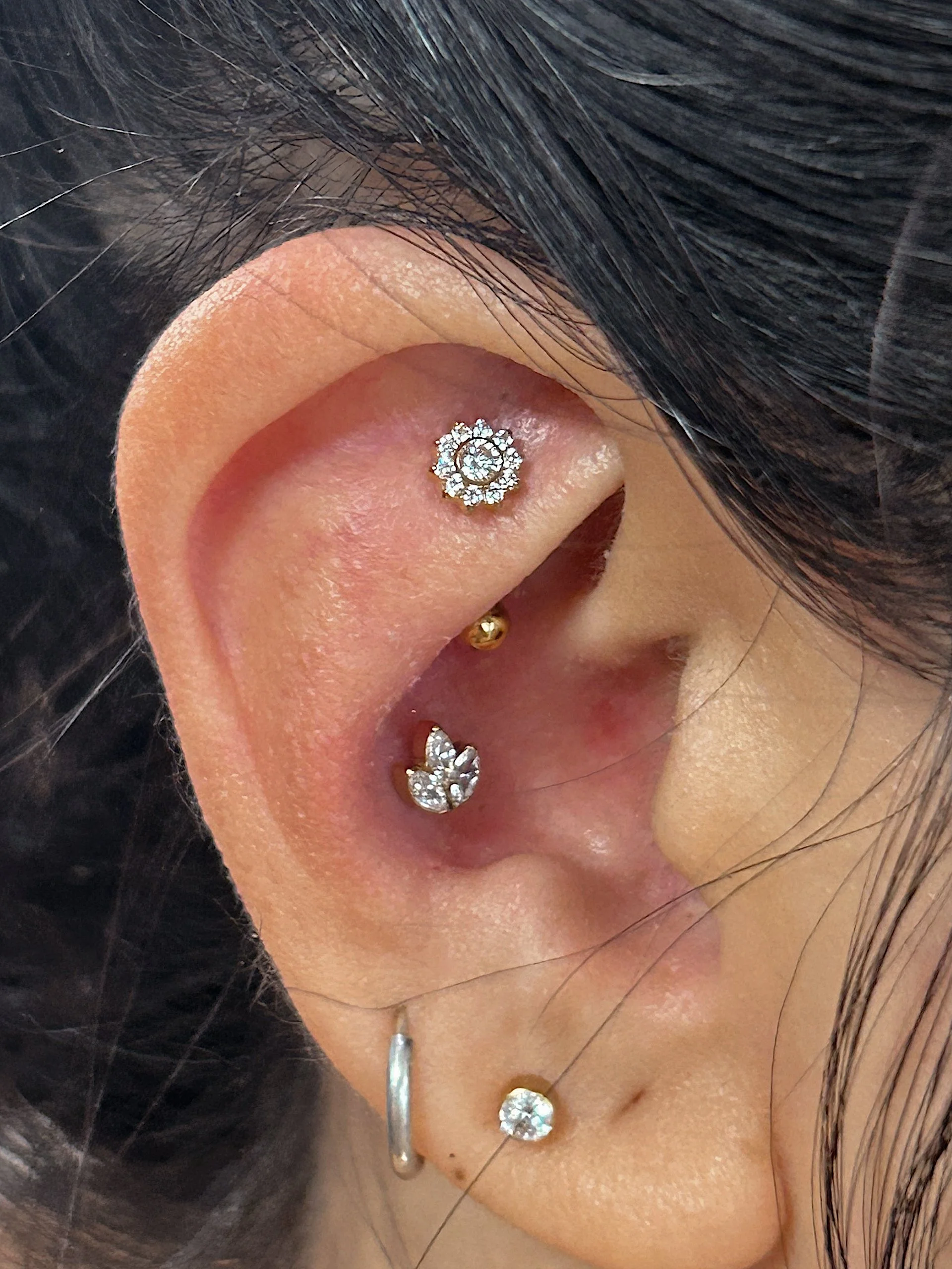 Tezza-3729 (1).JPG