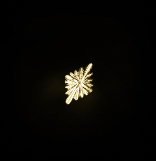 Screenshot 2024-08-22 at 2.55.16 PM.png