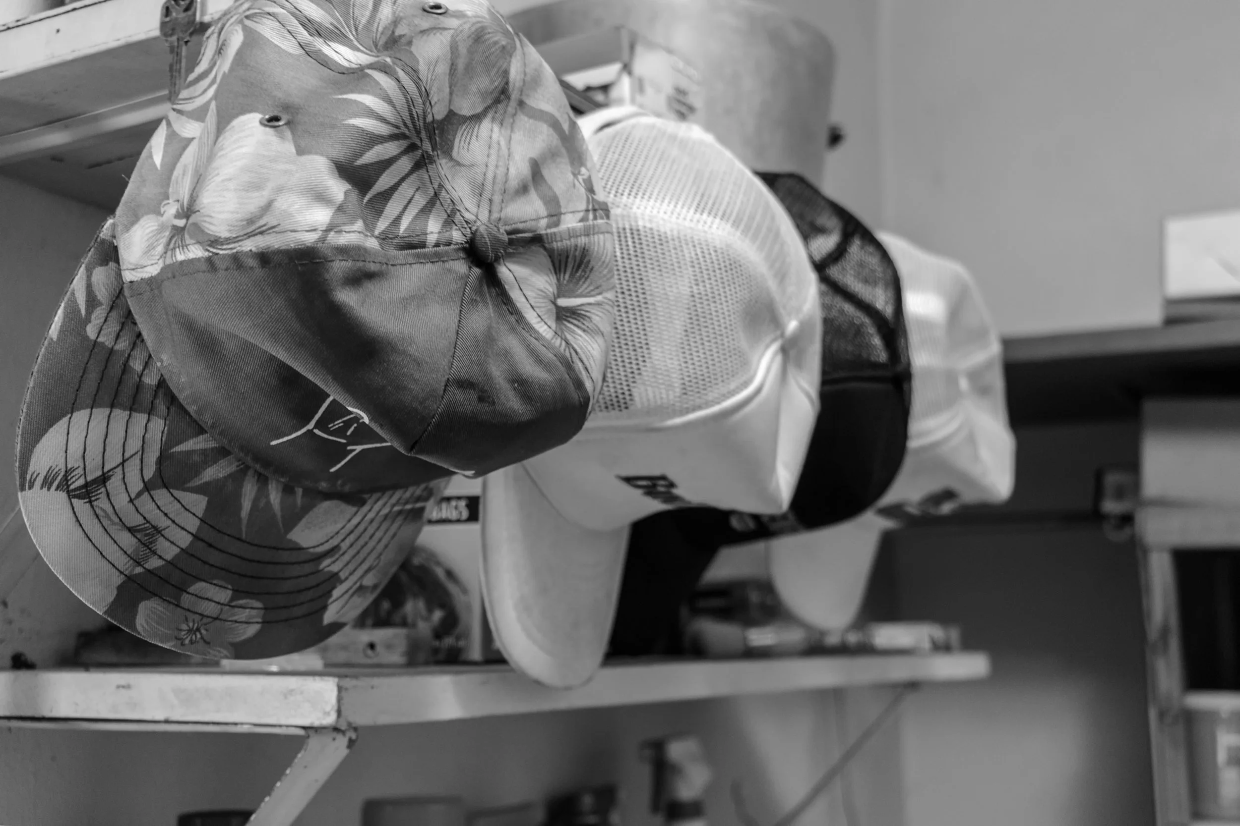 jackie in hialiah, 2017 