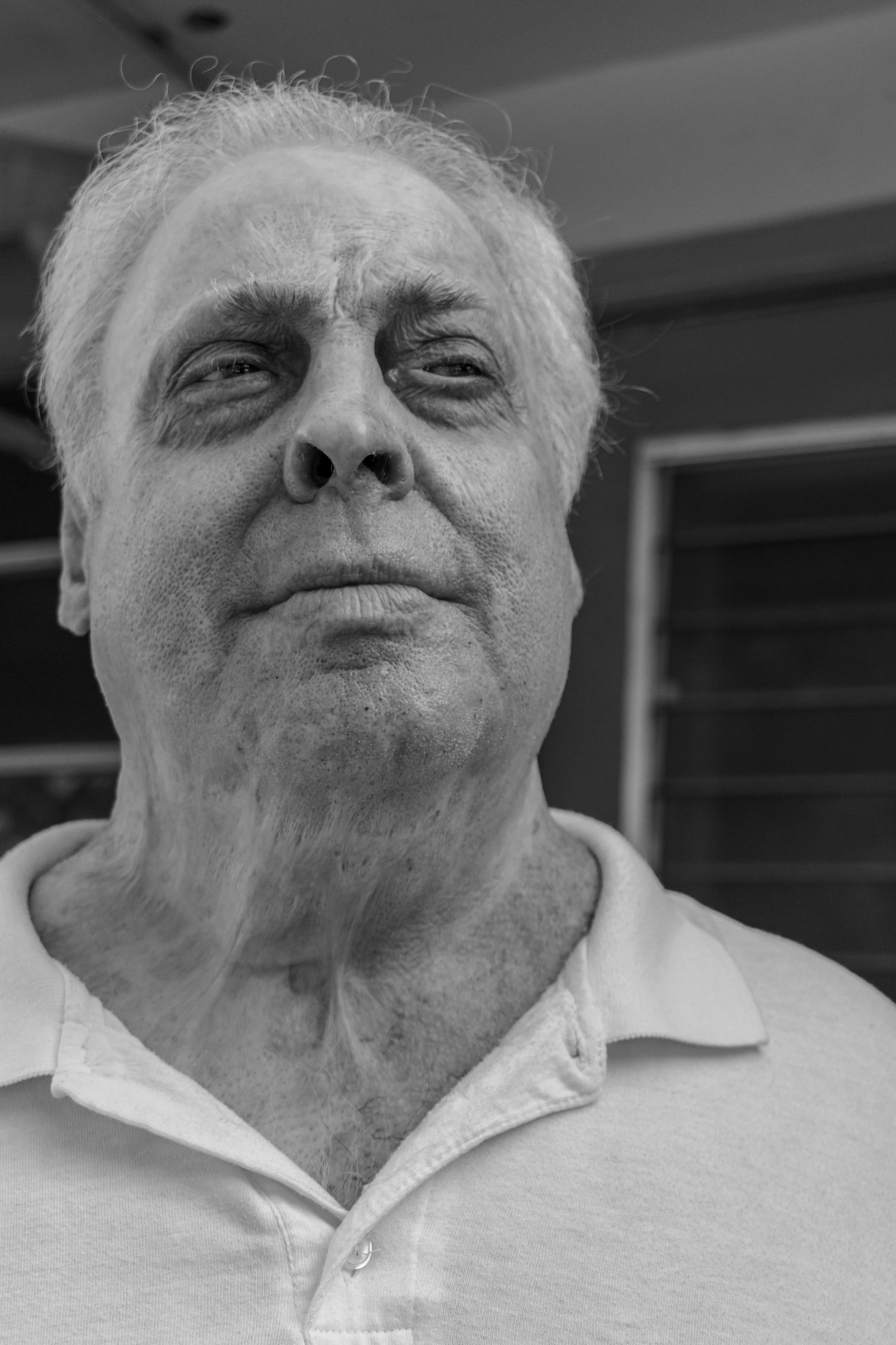 jackie in hialiah, 2017 