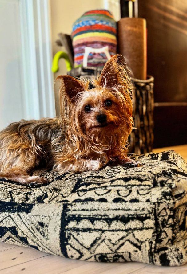 Very warm yoga: restorative candlelit flow