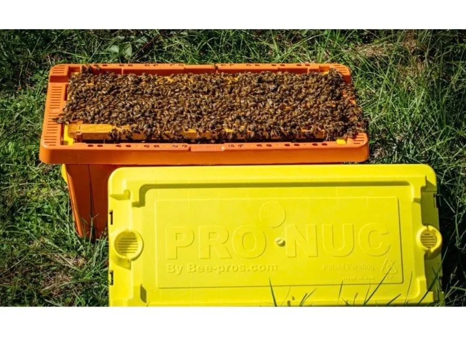 Live Power Nuc minus deposit (May)