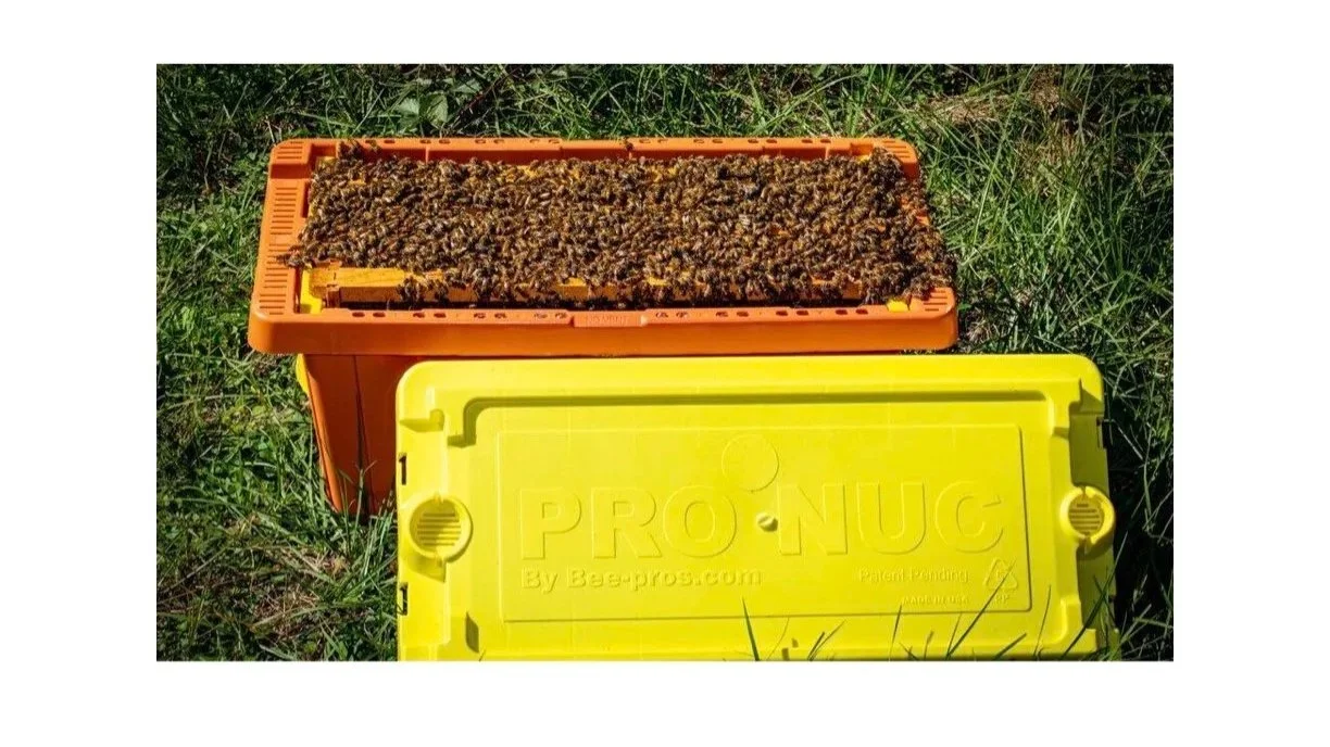 Deposit for Live Power Nuc (March)