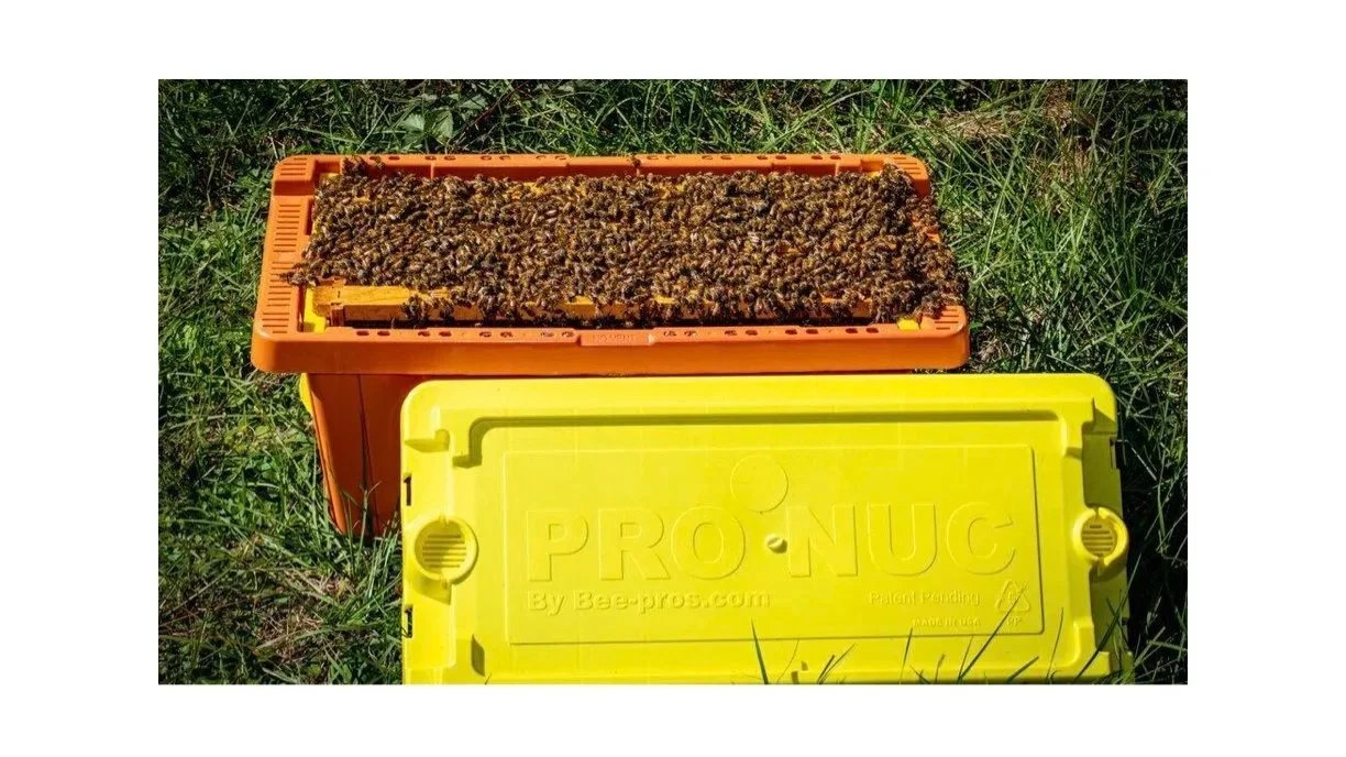 Live Power Nuc minus deposit (March)