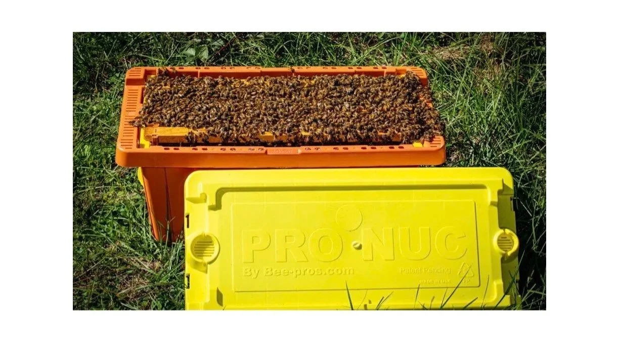 Live Power Nuc (May)