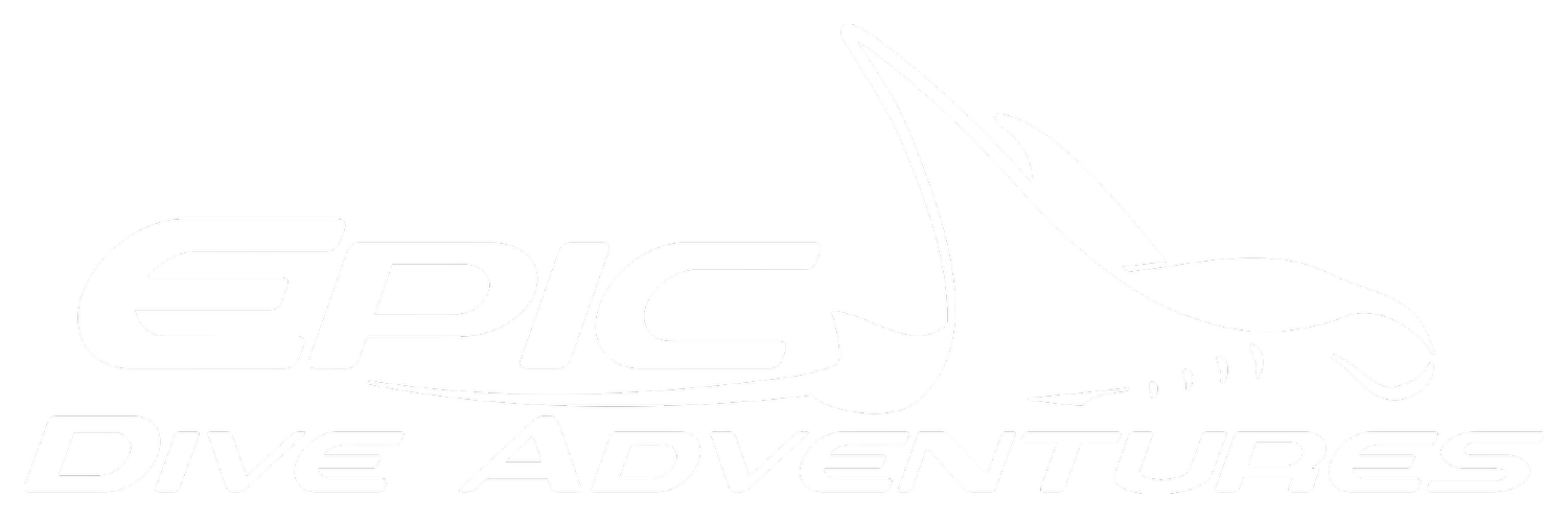 Epic Dive Adventures 