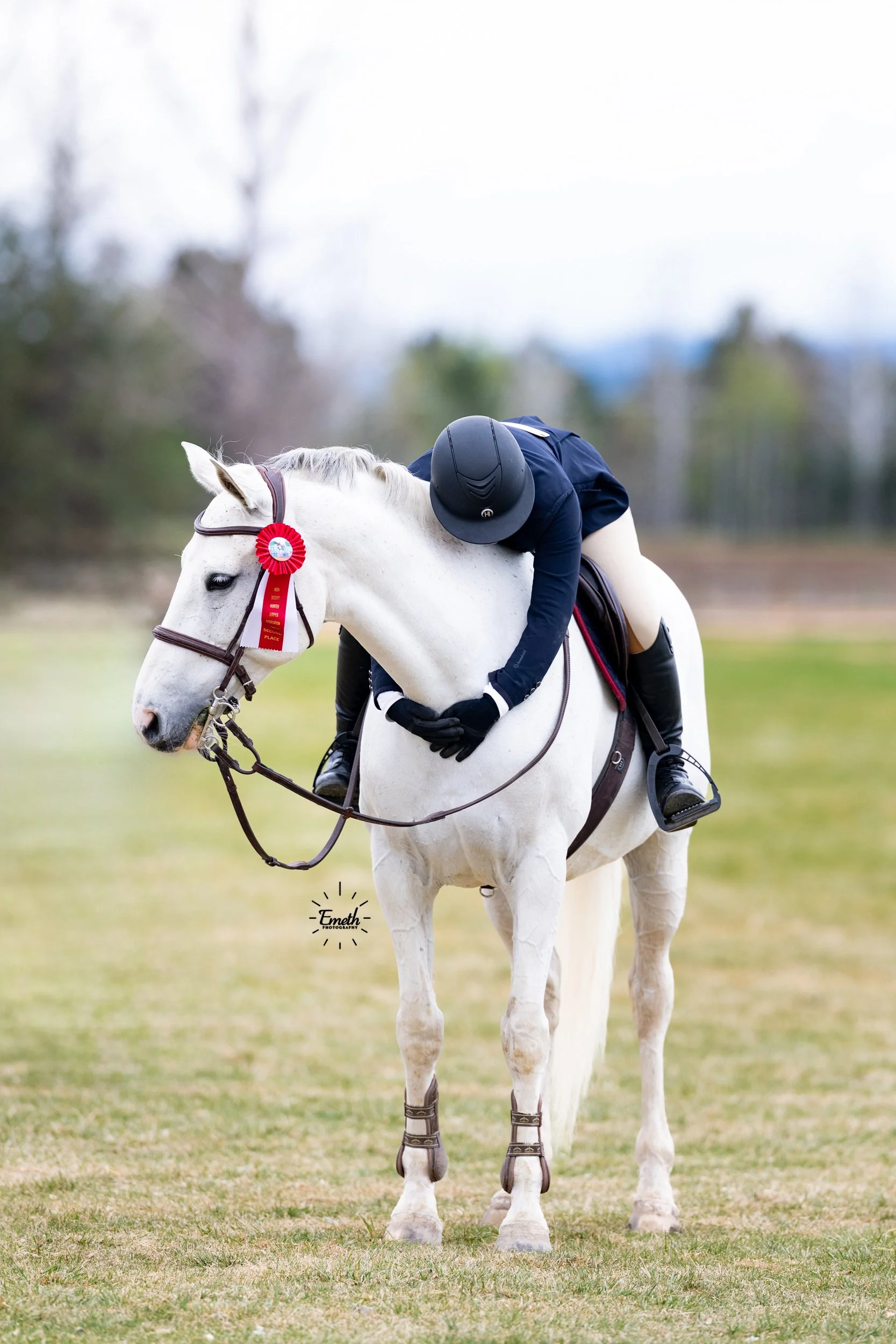 Hunter Jumpers for Sale 