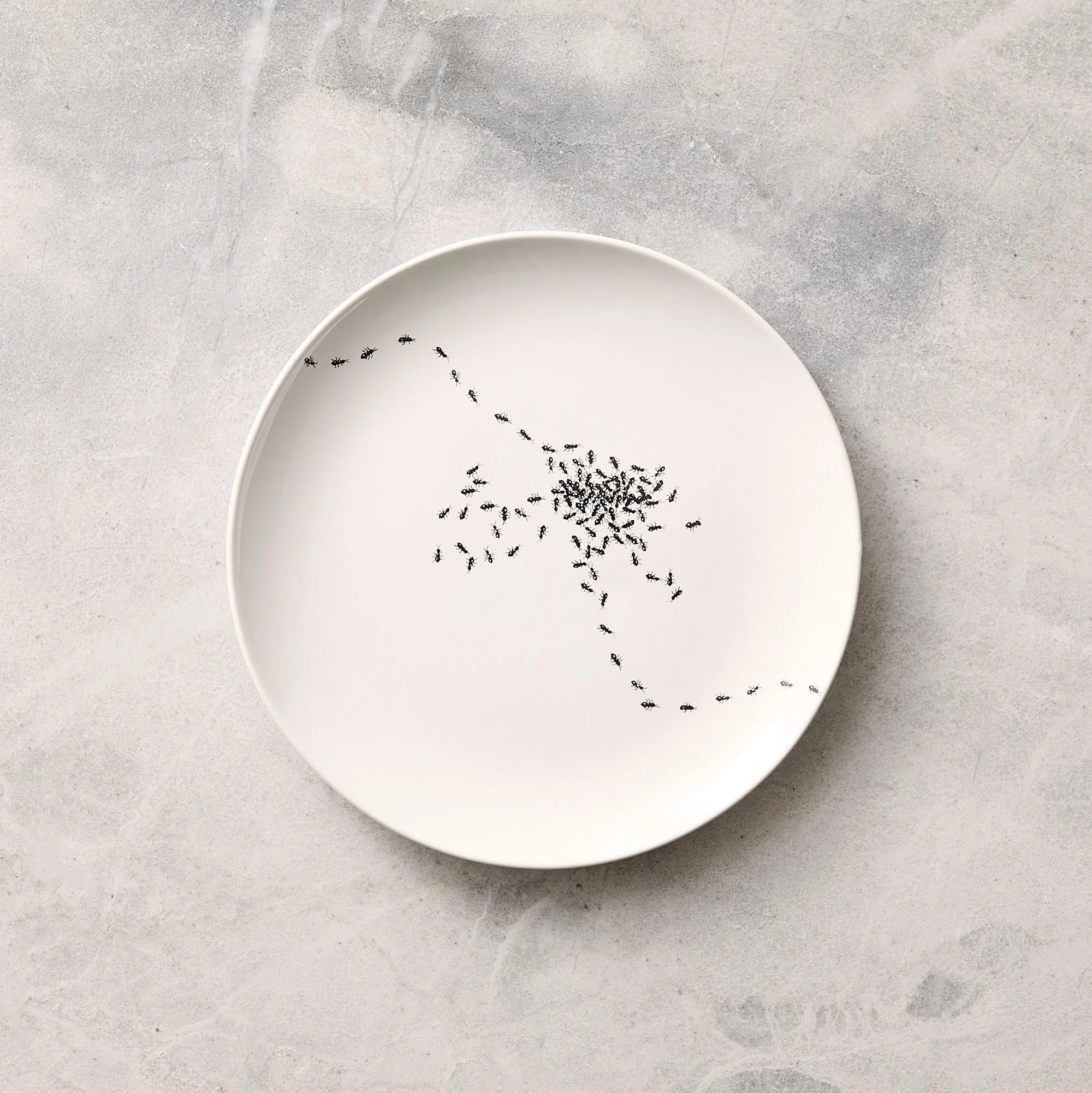 halloween-antics-ceramic-salad-plate-sets-1-xl.jpg