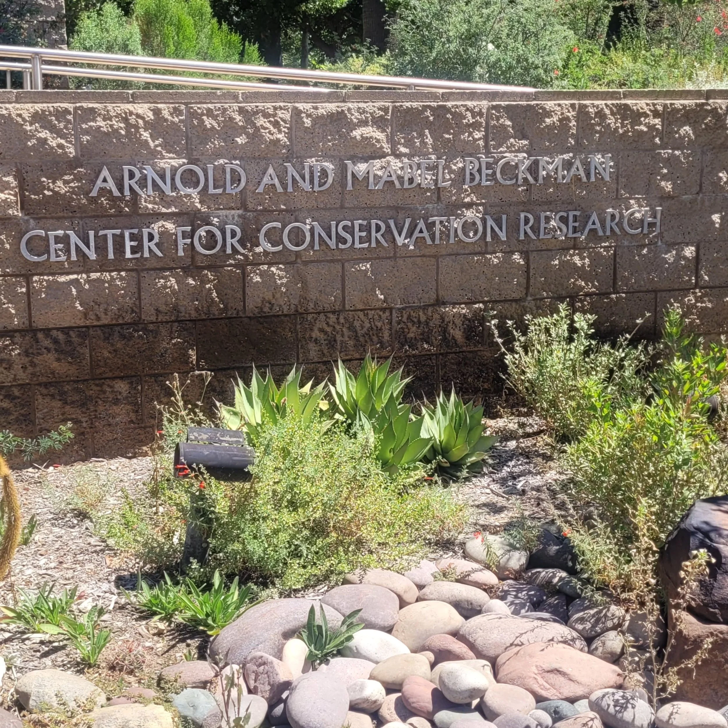 What a great behind the scenes visit today with  staff at Beckman Center for Conservation Research. This center is Leed certified and is home base for operations and administration of eight research  groups, including plant conservation, population s