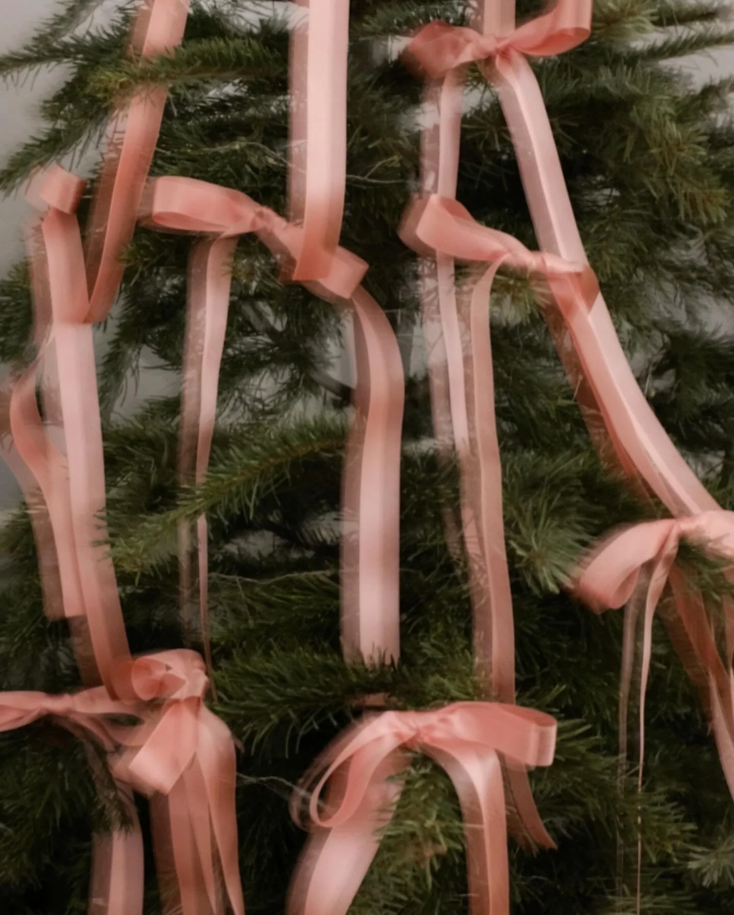 Nothing can touch a Christmas in Paris! I&rsquo;m begging for a bit of cold weather to make this 80 degree Texas Christmas at least semi holiday-spirited ❄️🦢