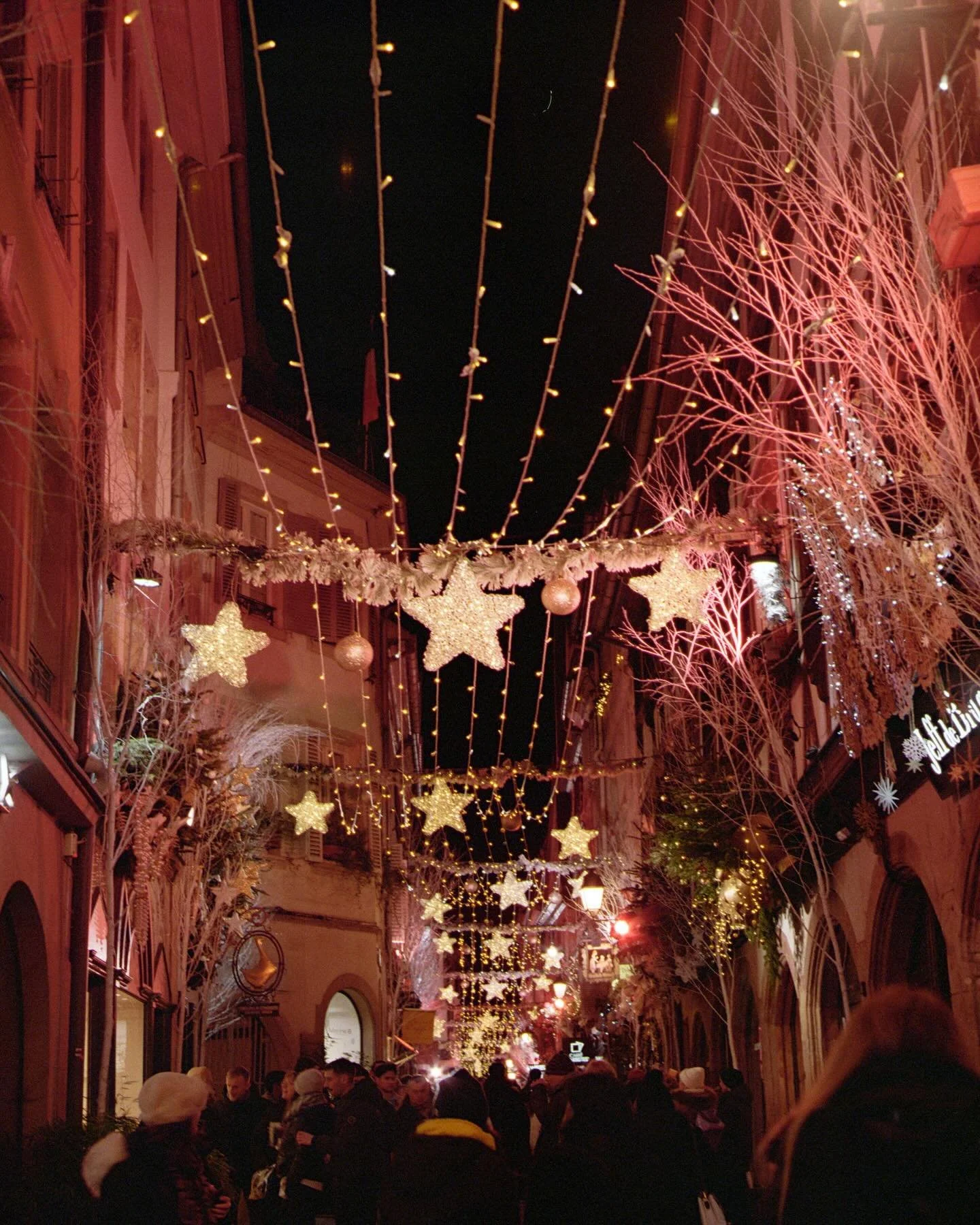 Both sides of my family originate from Alsace-Lorraine, and after visiting, I completely understand where we get our *diva* from 💅🏼