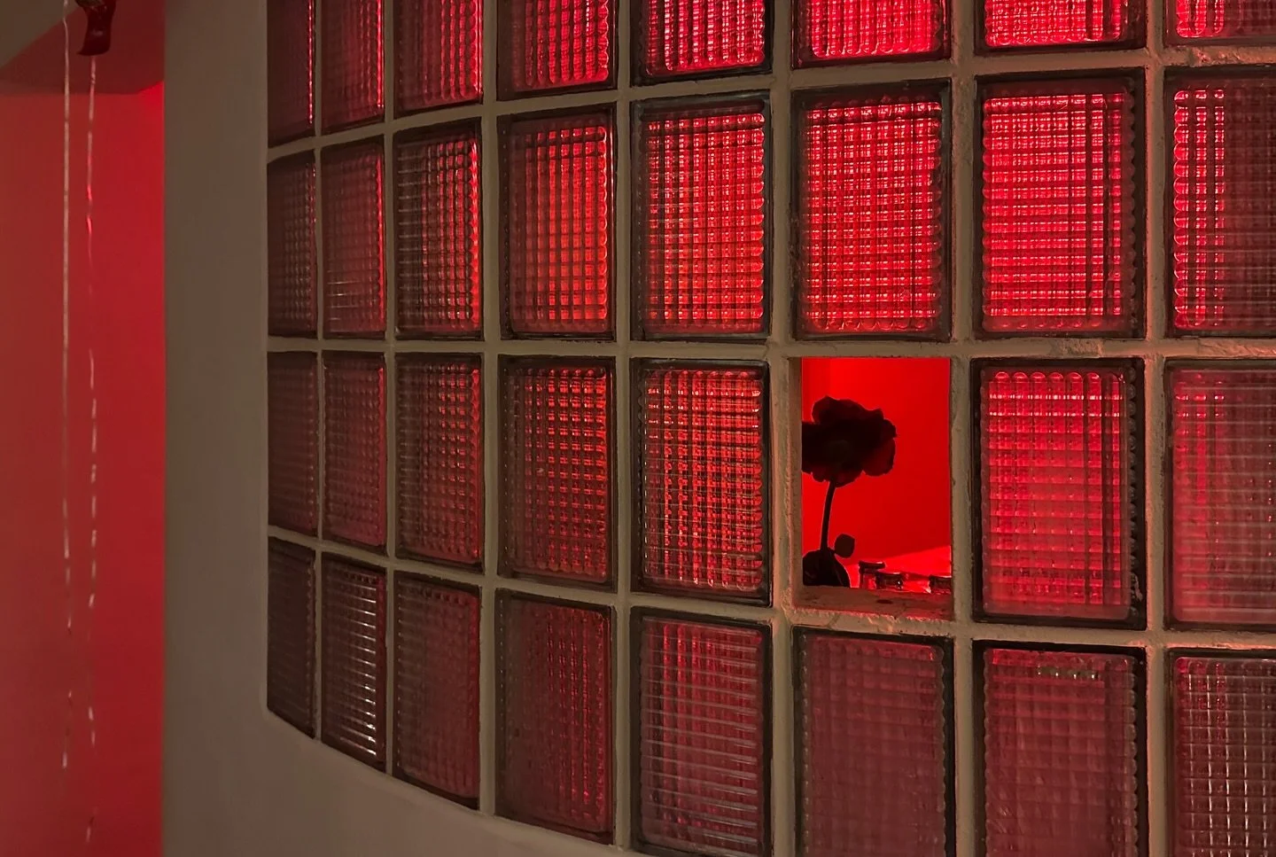 I found this handycam at a flea in Paris and I want it to be a part of everything I do now. footage of my loves celebrating love ❤️💥🦢