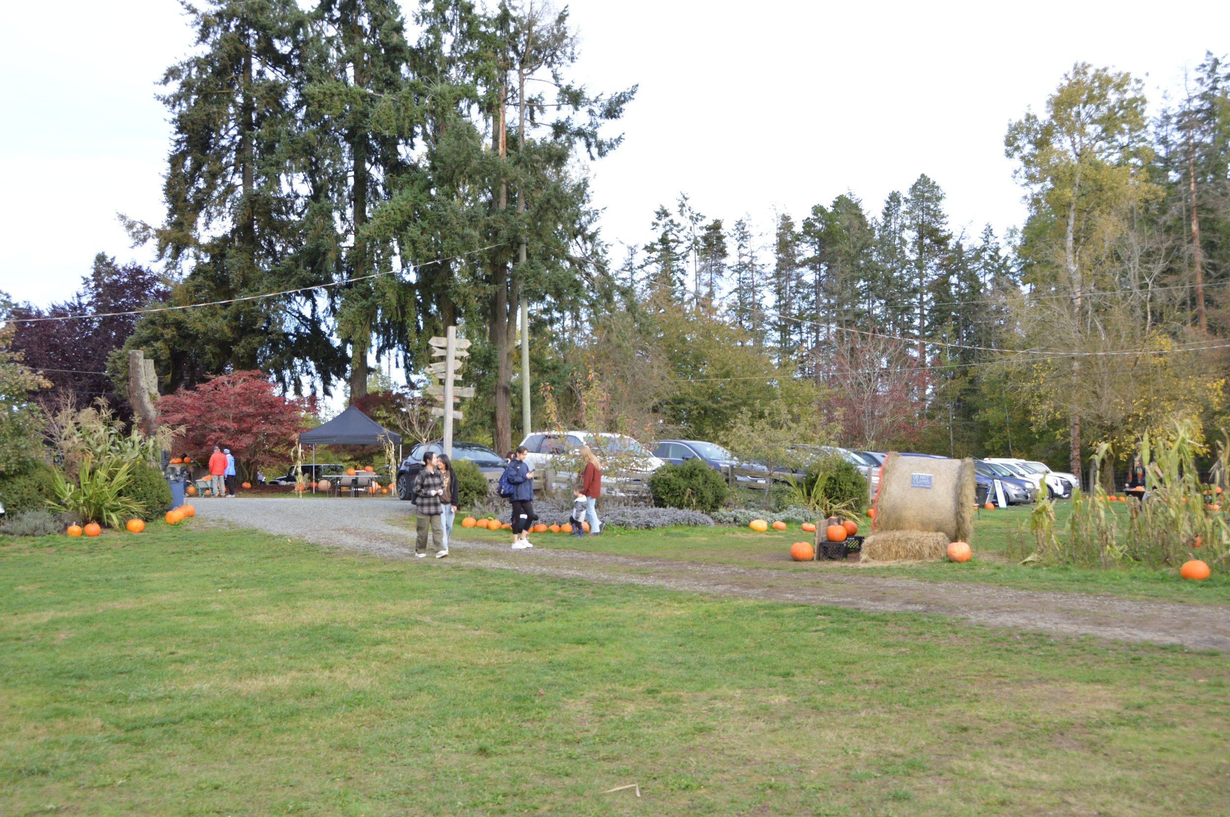 DSC_0580.JPG