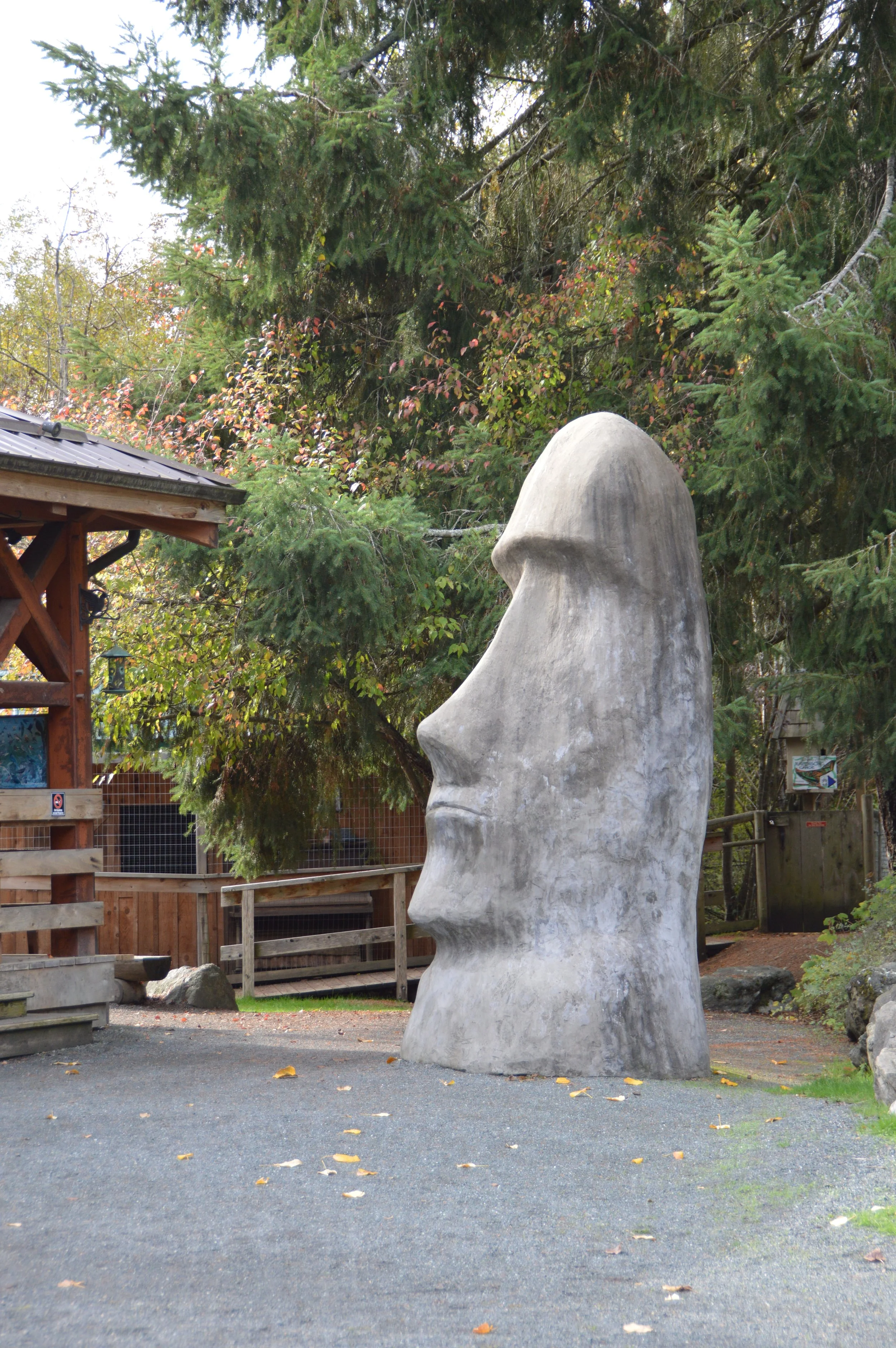 DSC_0641.JPG