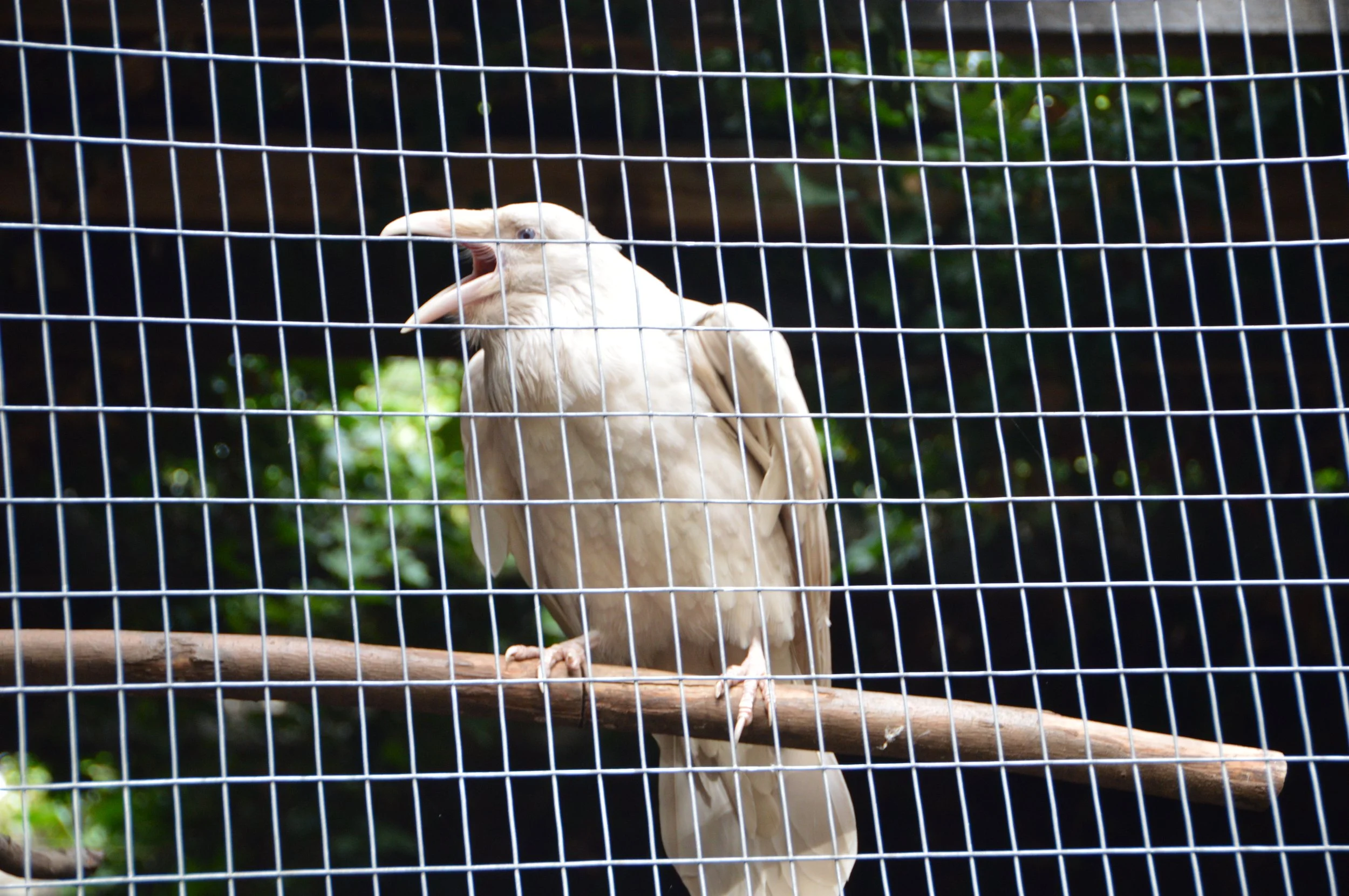 DSC_0649.JPG