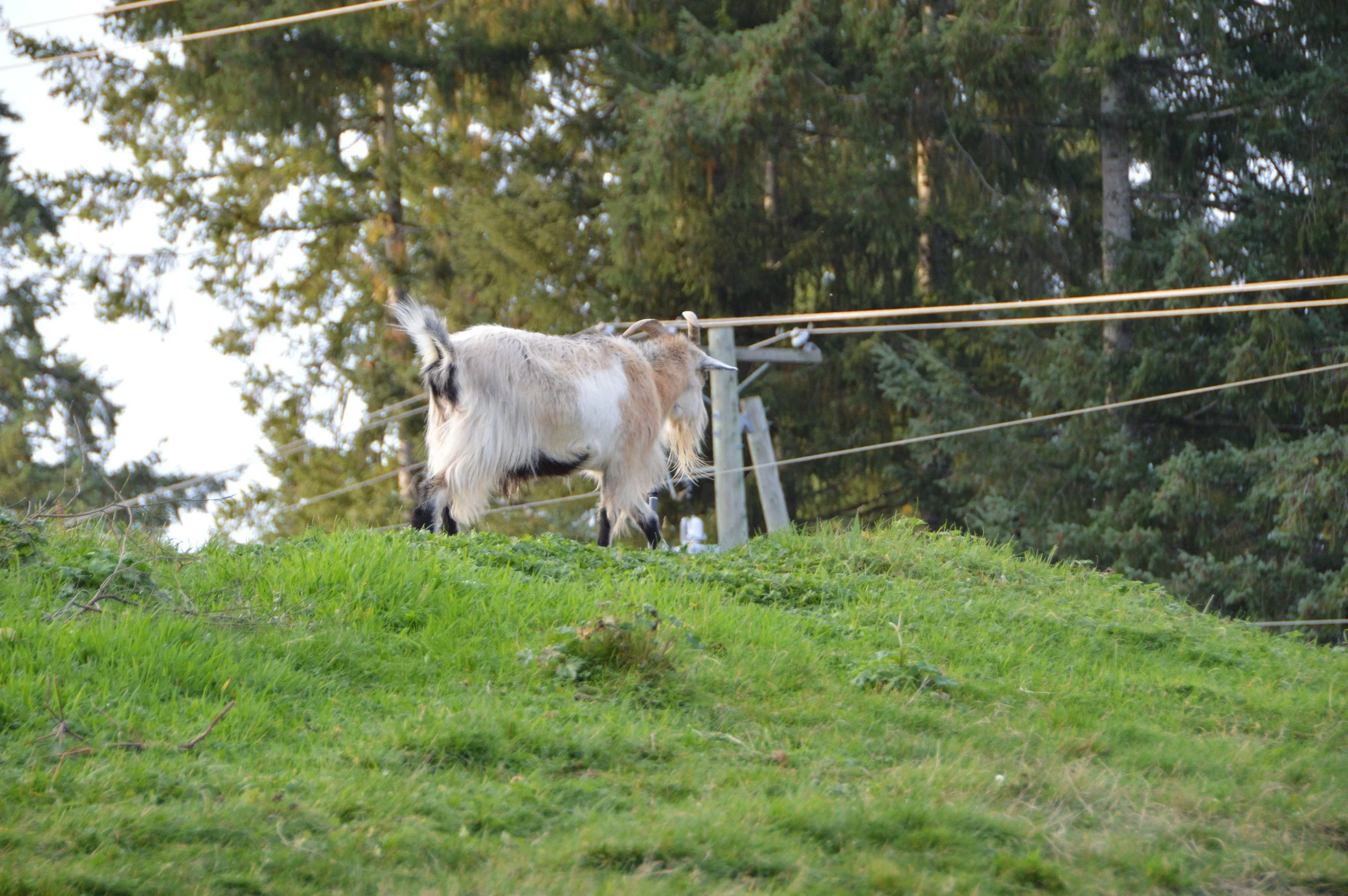 DSC_0670.JPG