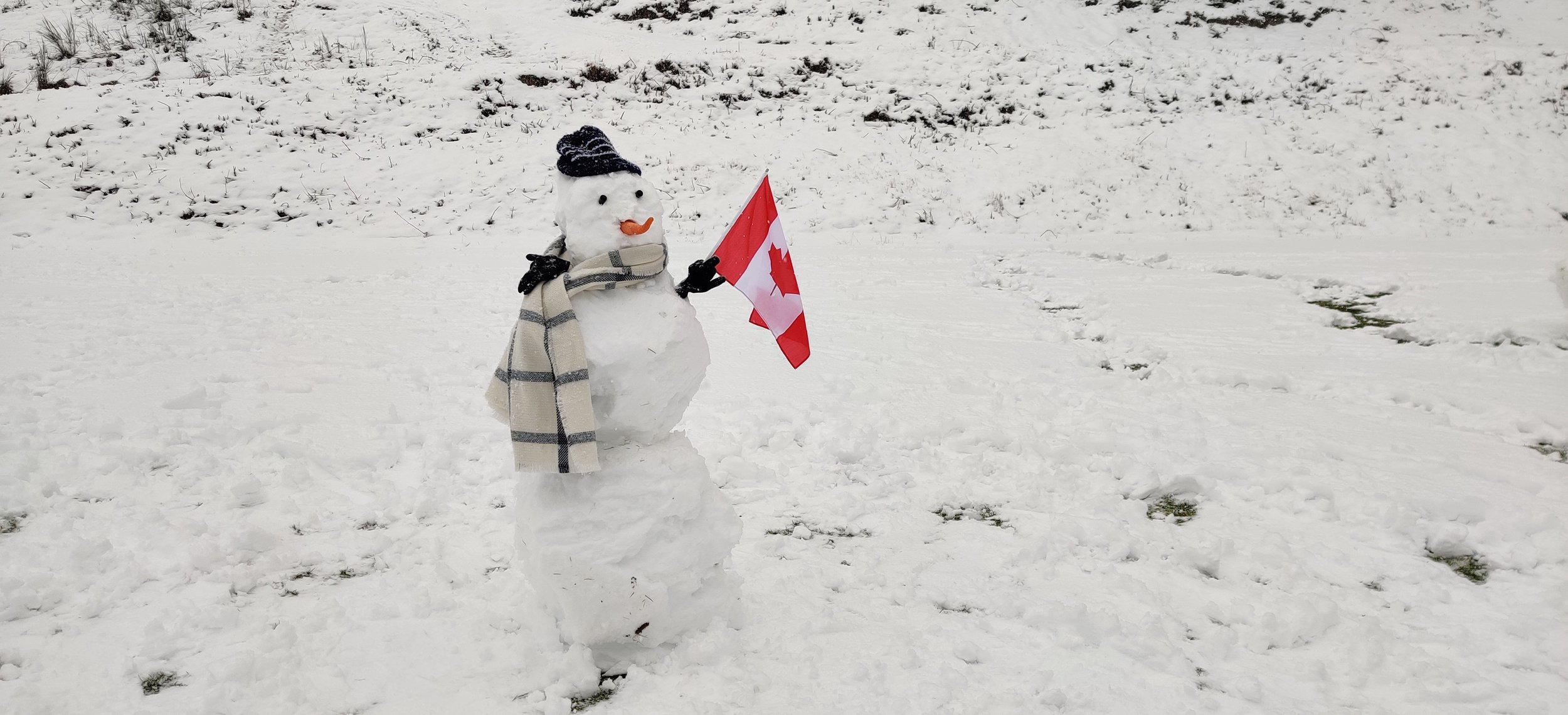 January 18th - Snowman