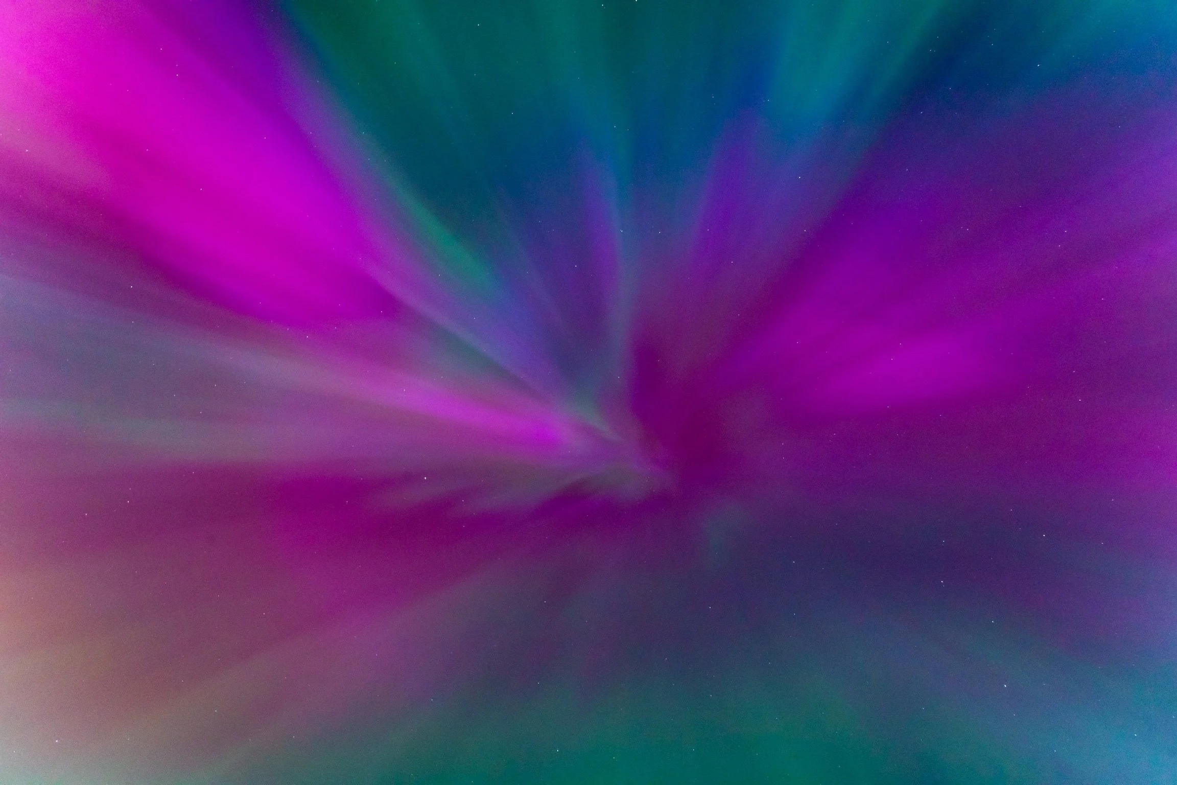 DSC09526.JPG