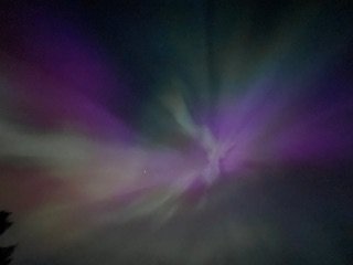 IMG_4033.jpg