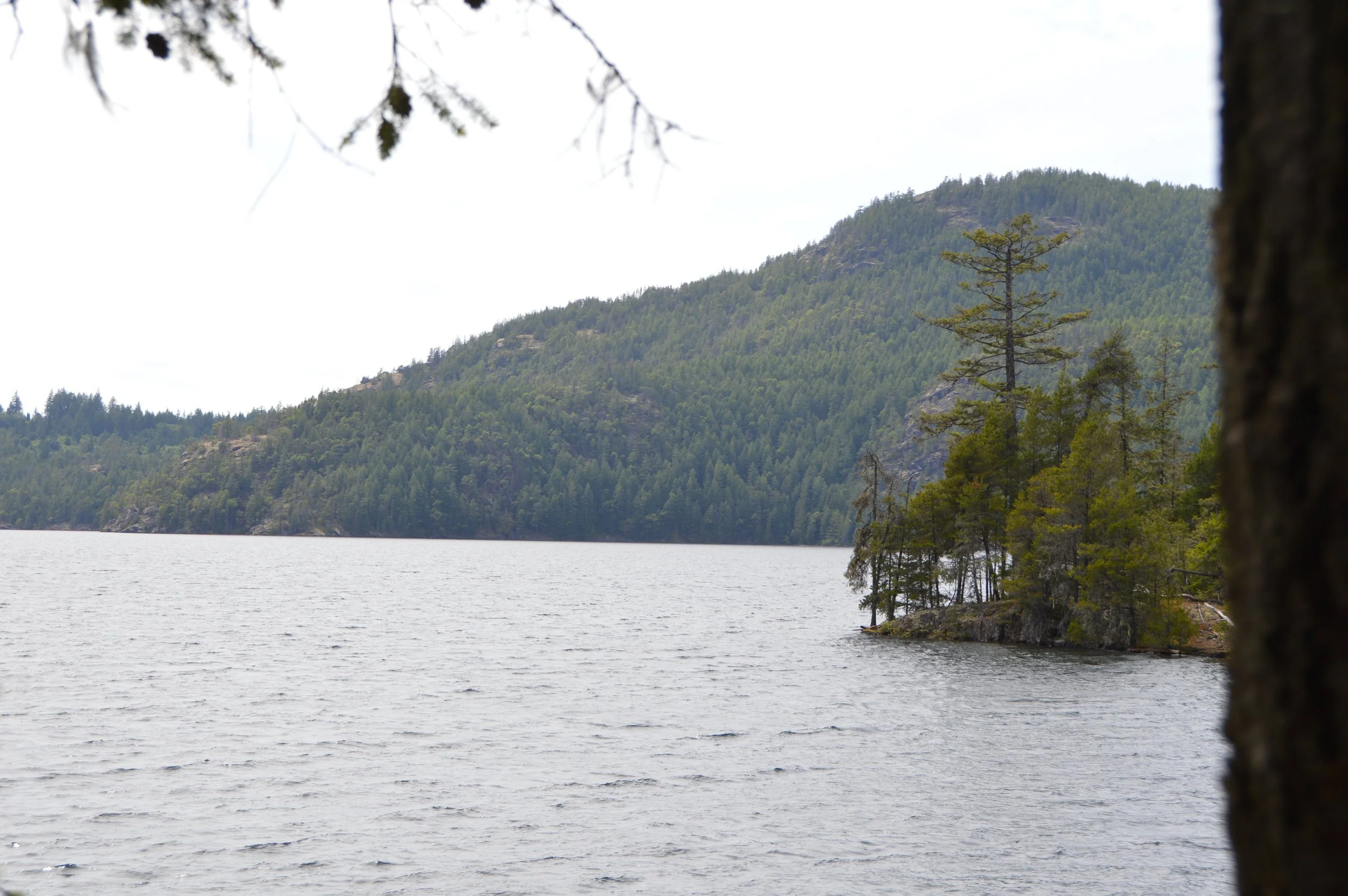 DSC_0124.JPG
