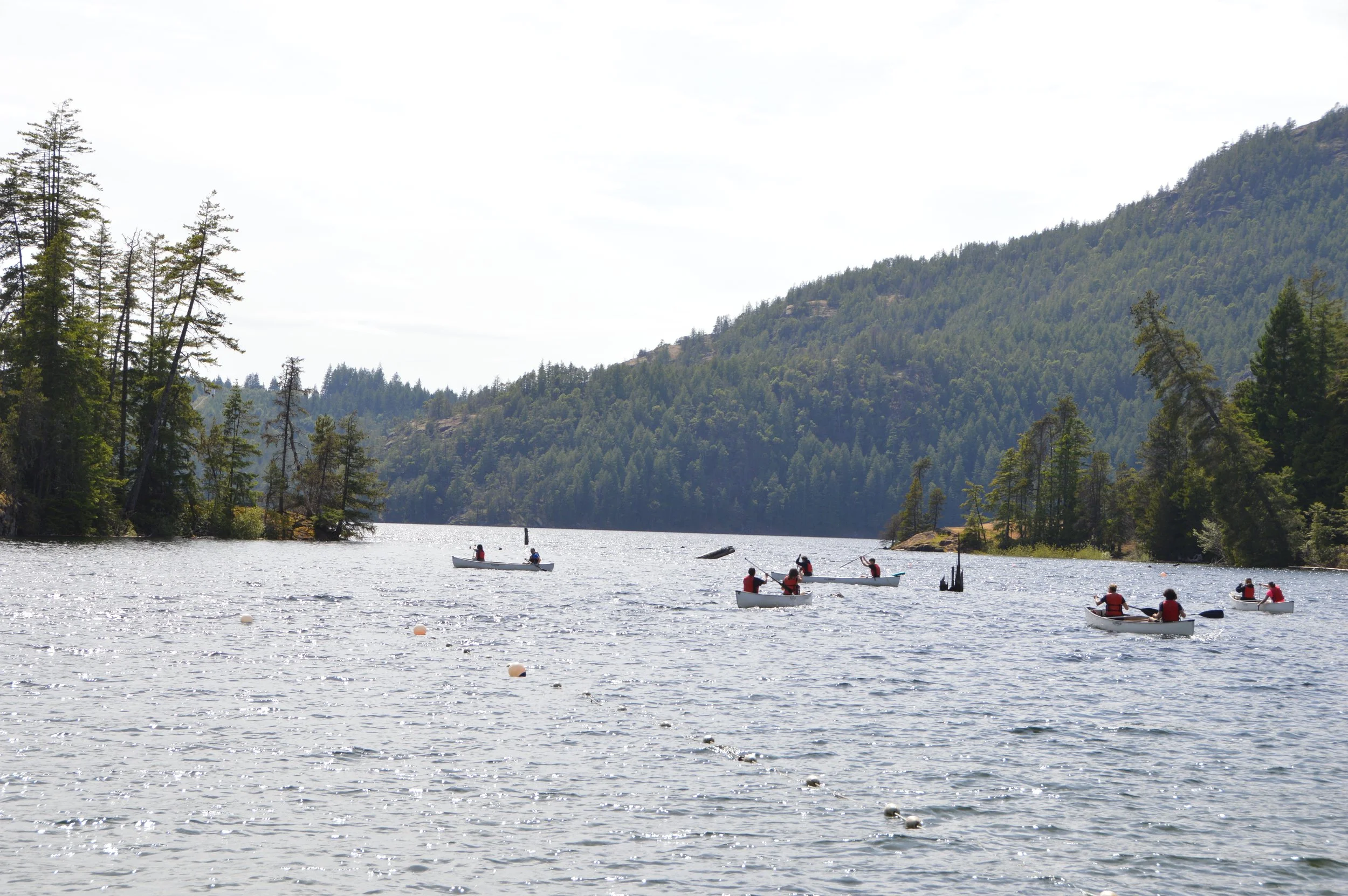 DSC_0149.JPG