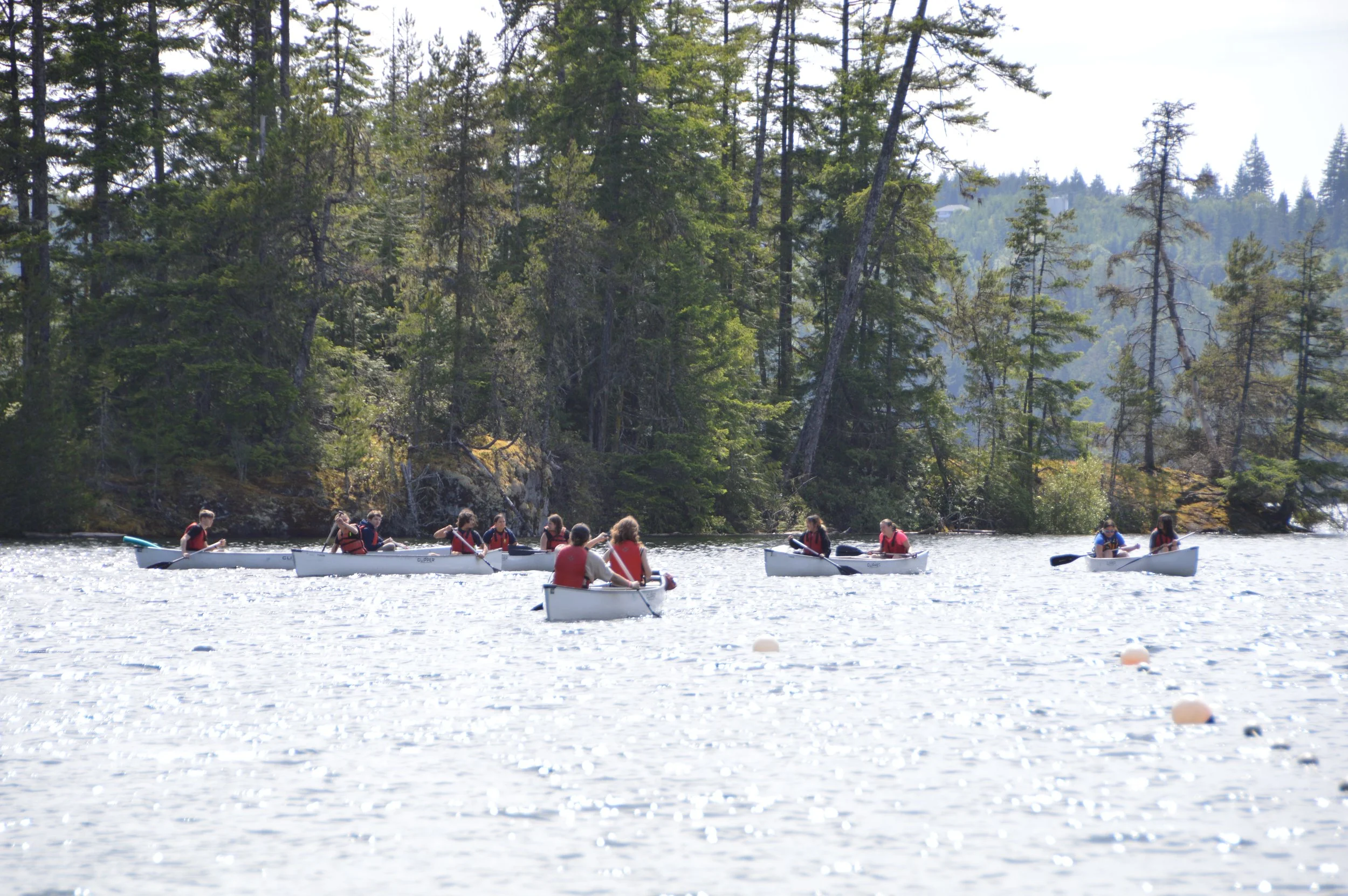 DSC_0154.JPG