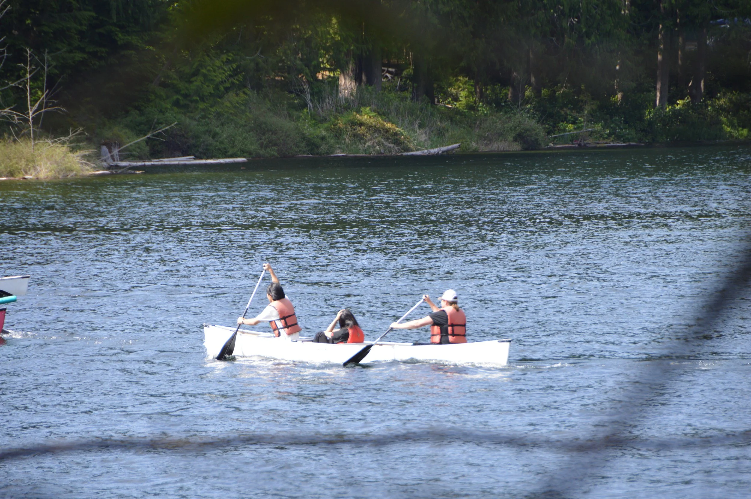 DSC_0164.JPG